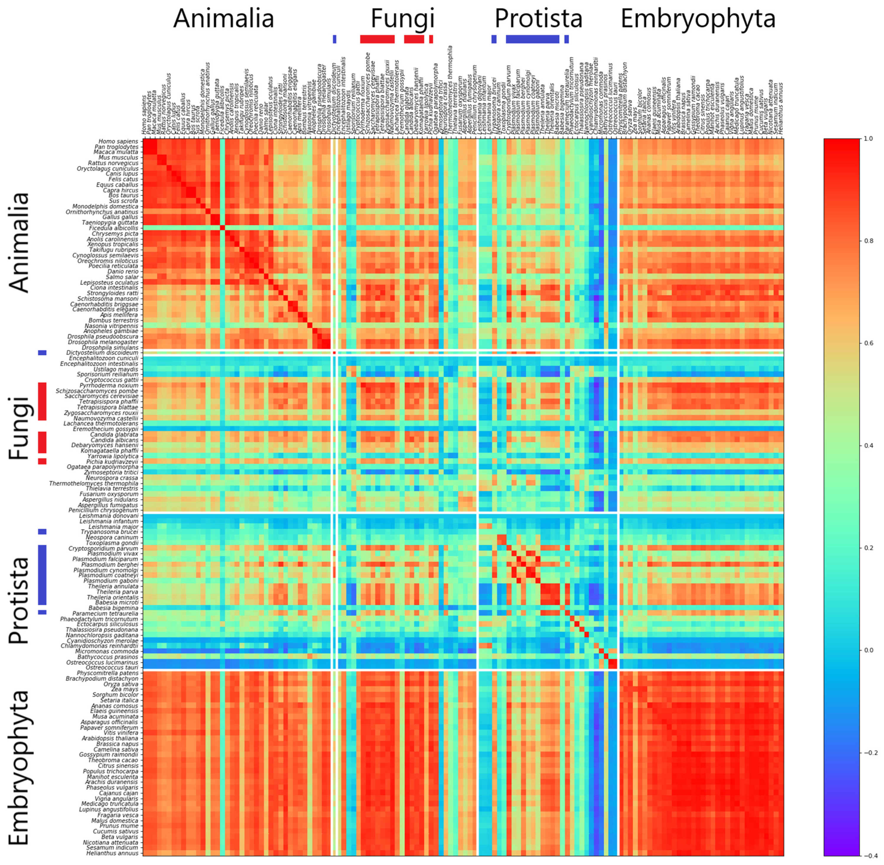 Genes 12 01571 g002
