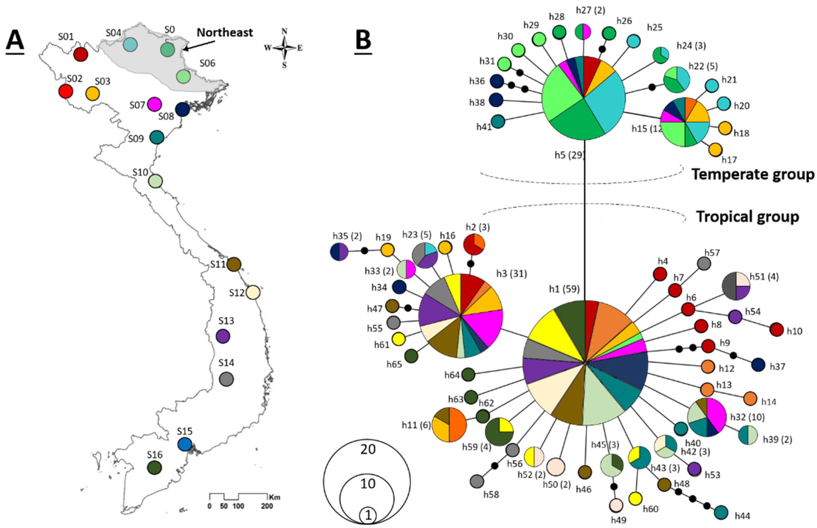 Genes 12 01579 g001