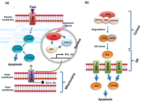 Genes 12 01581 g001 550