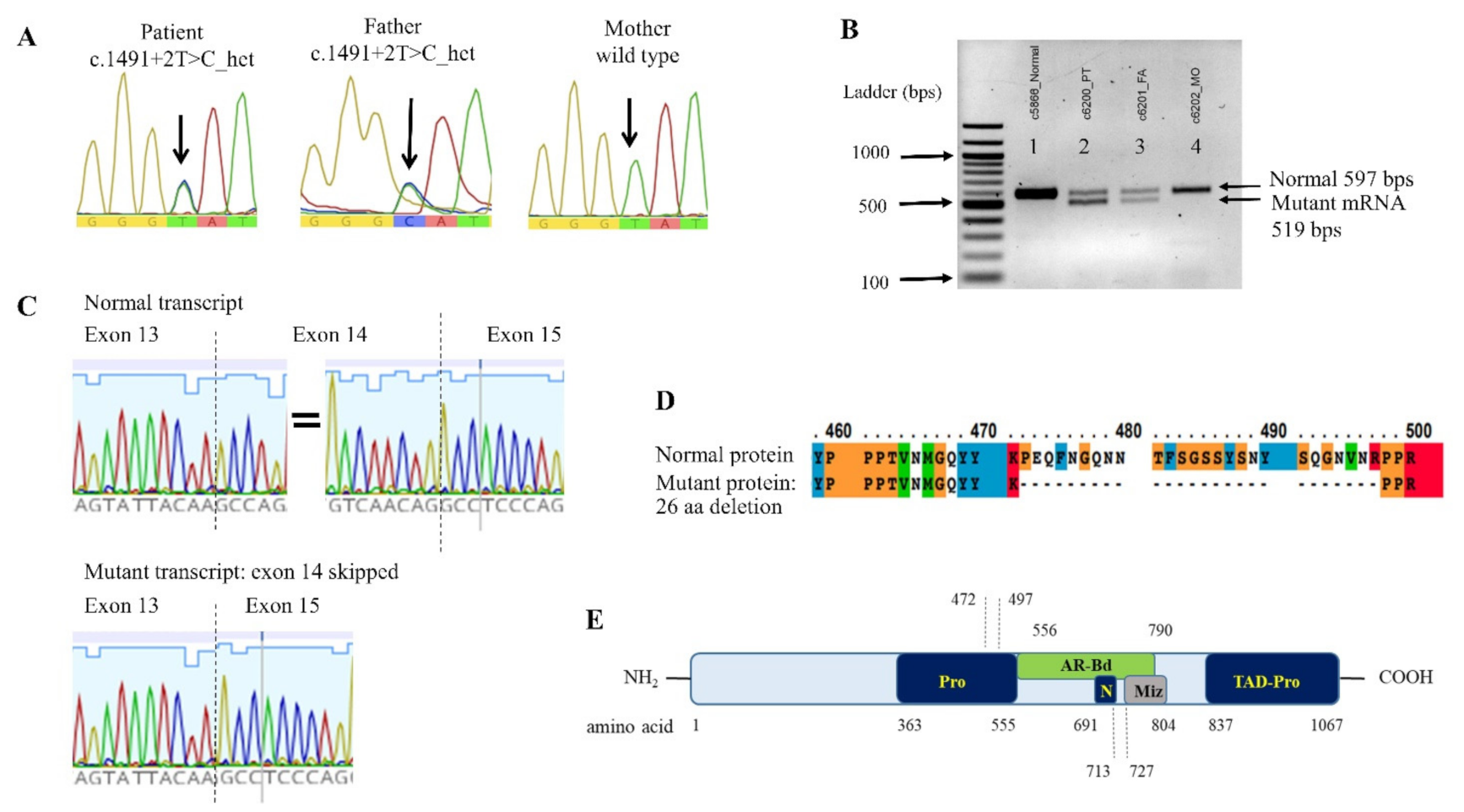 Genes 12 01583 g003