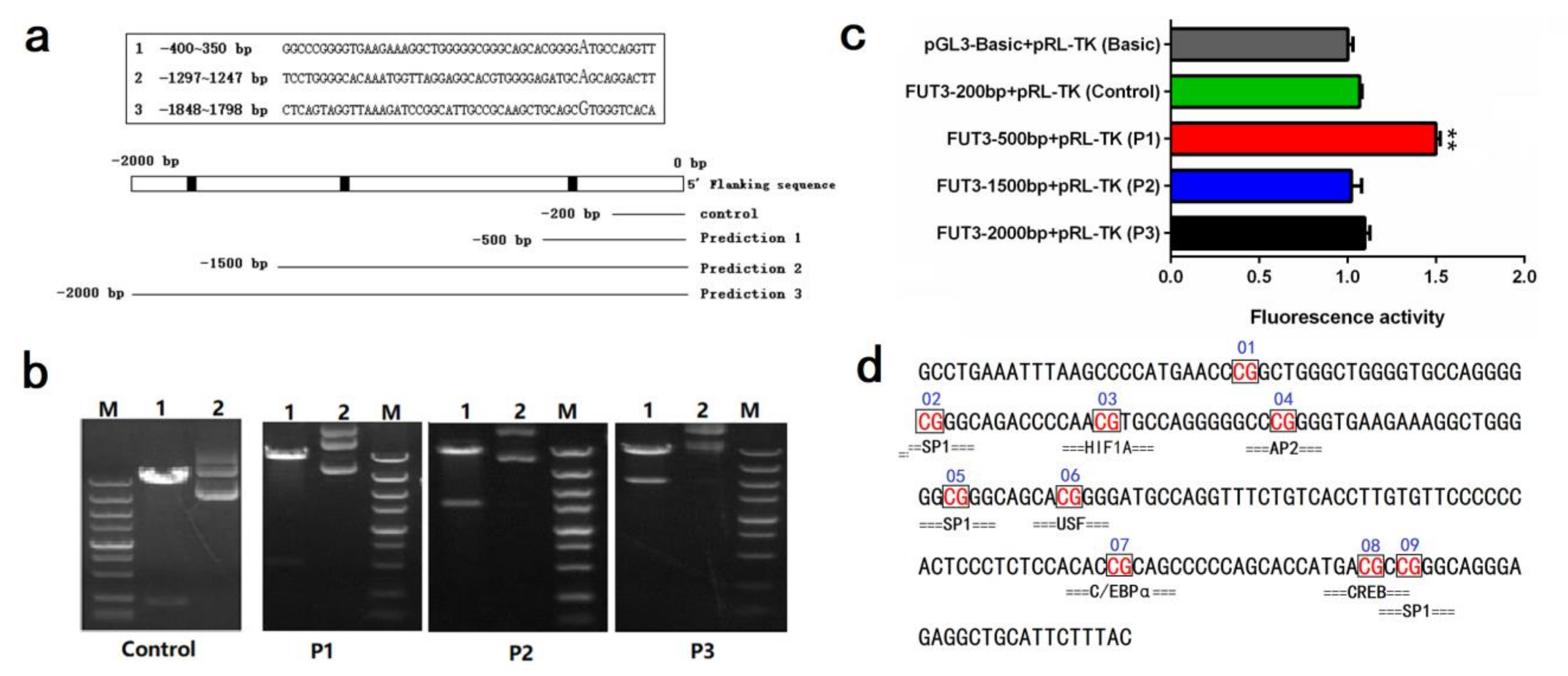 Genes 12 01586 g004