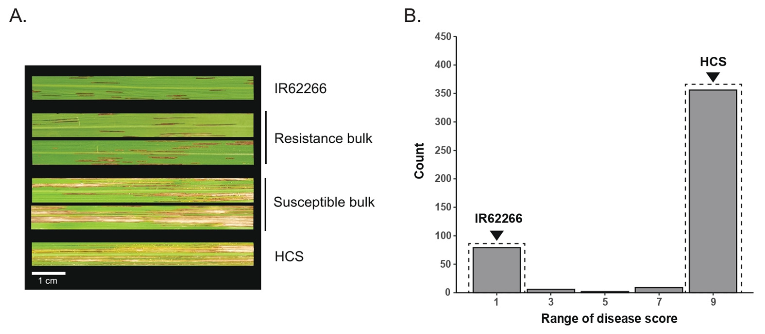 Genes 12 01587 g001