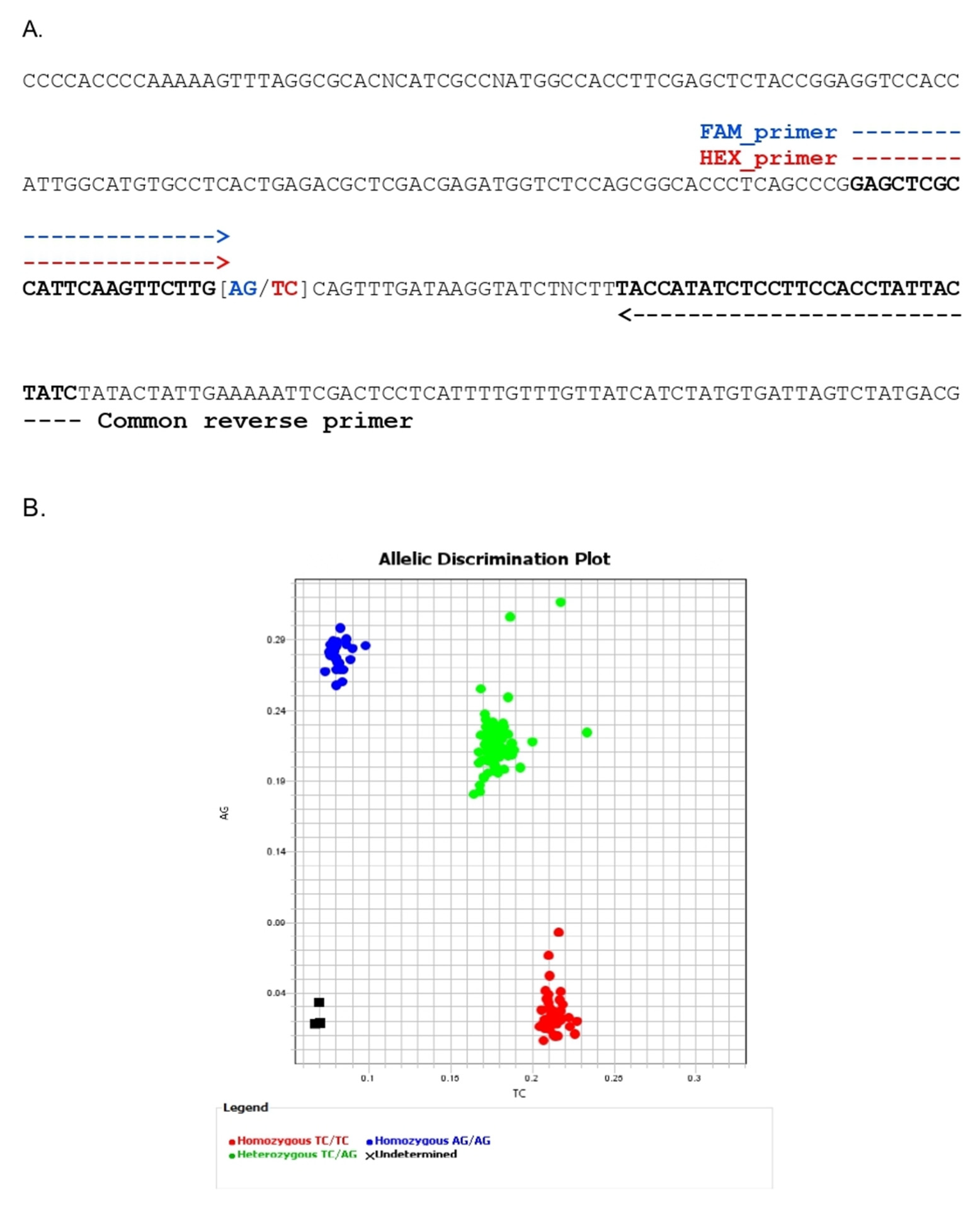 Genes 12 01587 g004