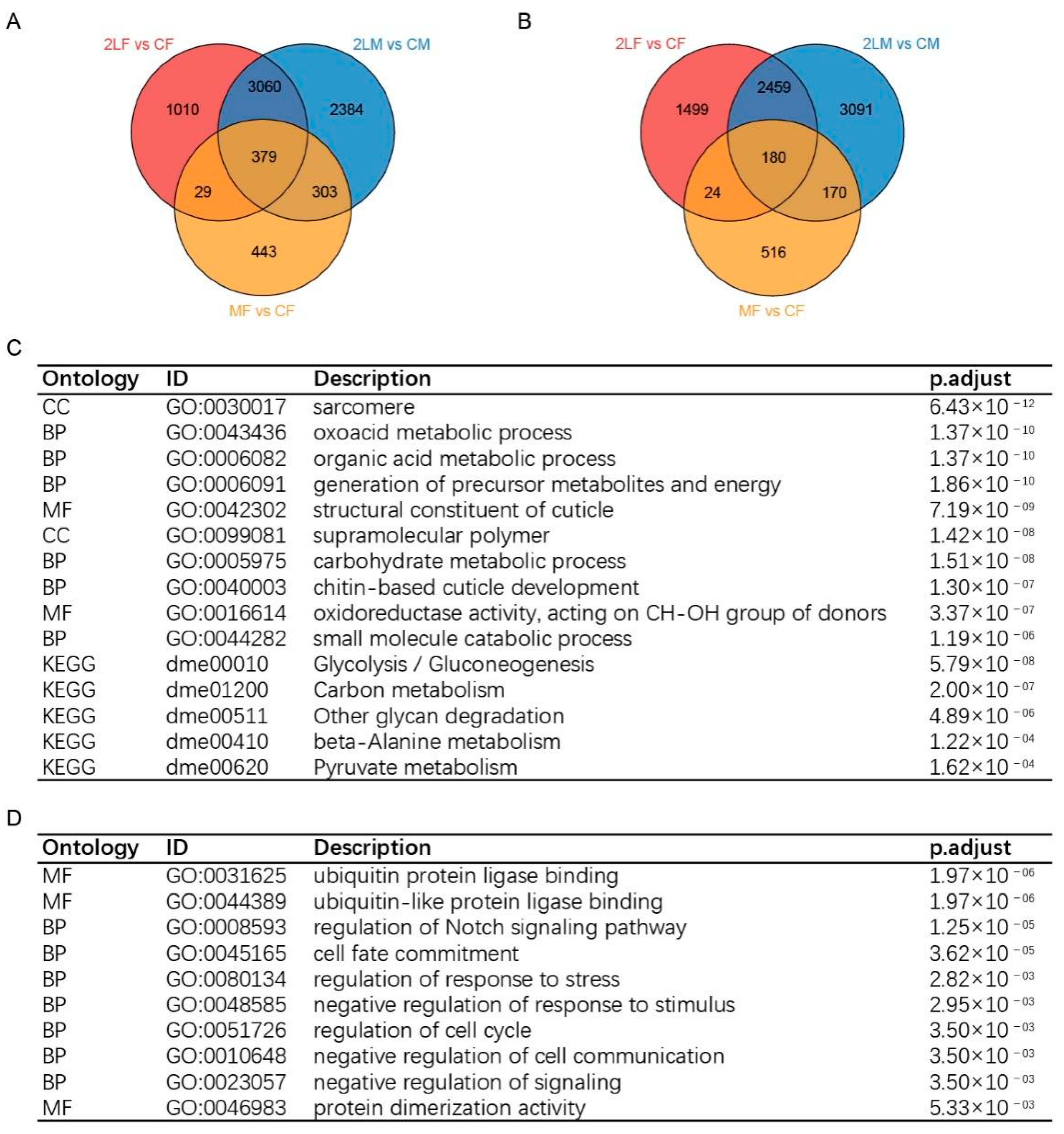 Genes 12 01606 g002