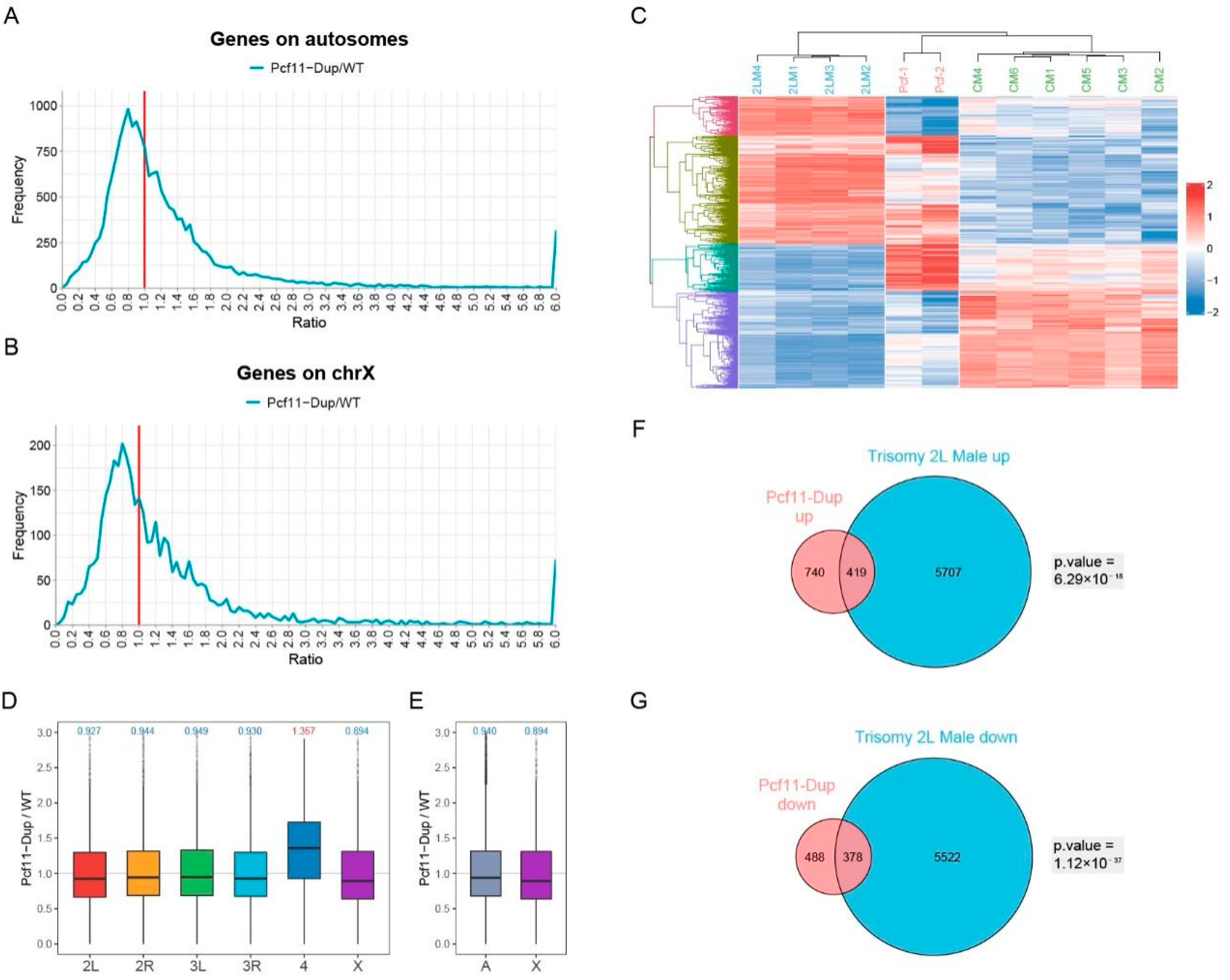 Genes 12 01606 g005