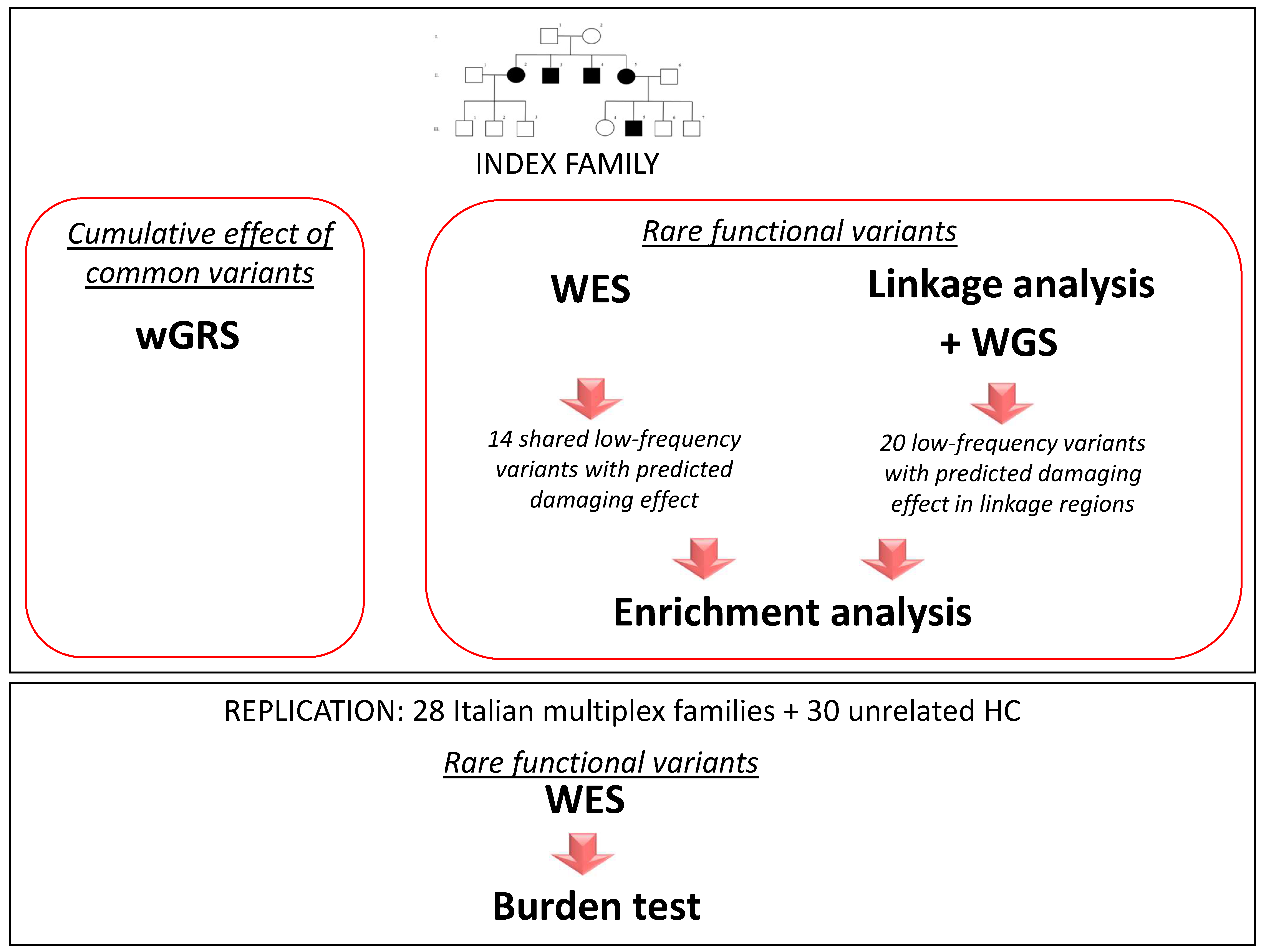 Genes 12 01607 g002