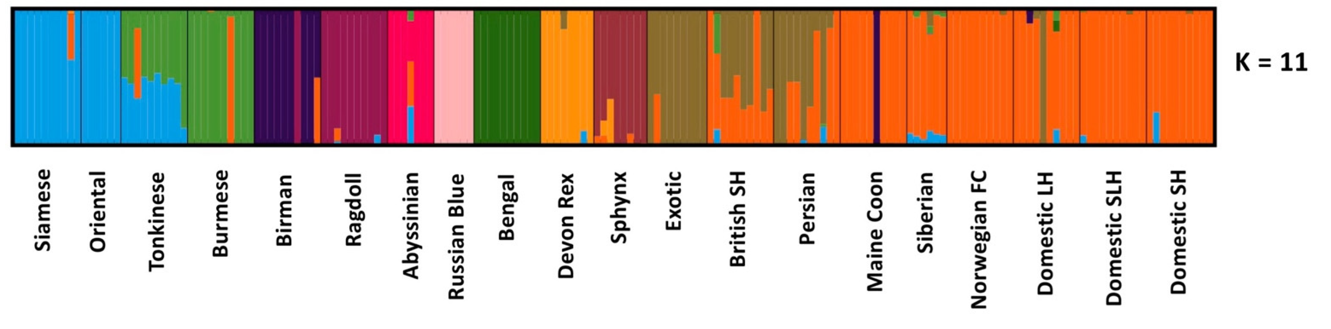 Genes 12 01619 g002