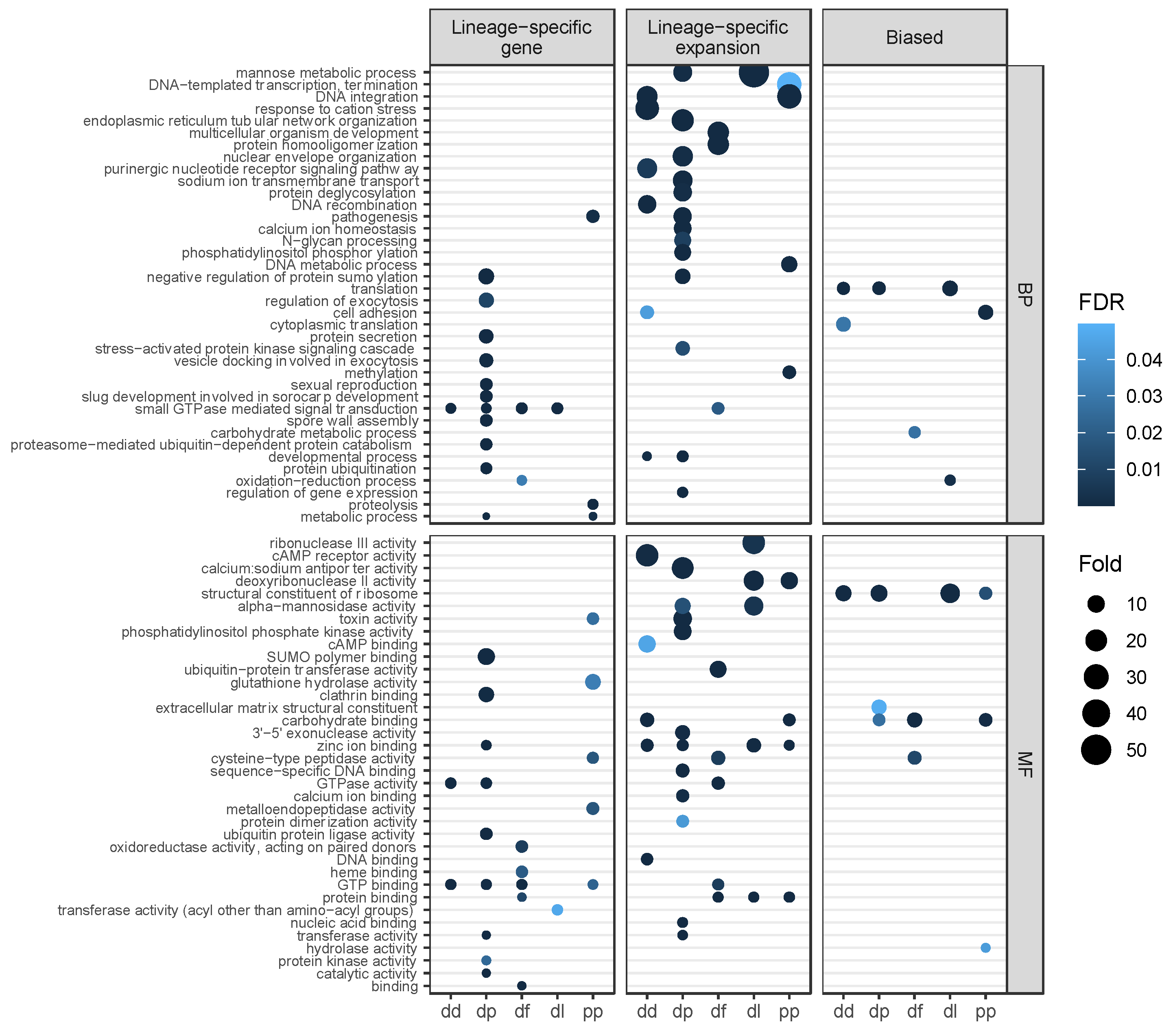Genes 12 01628 g004