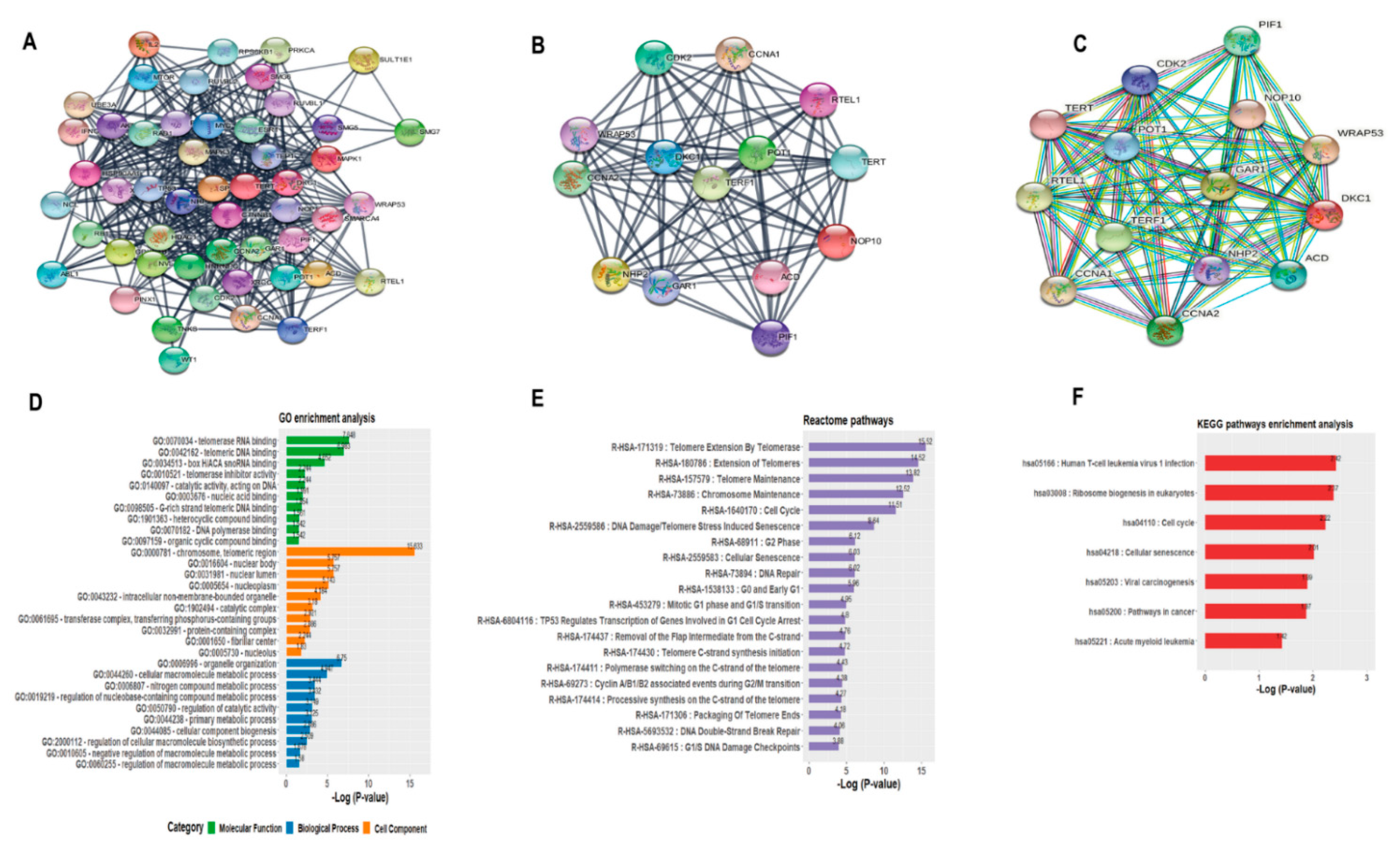 Genes 12 01632 g005 Genes 12 01632 g005
