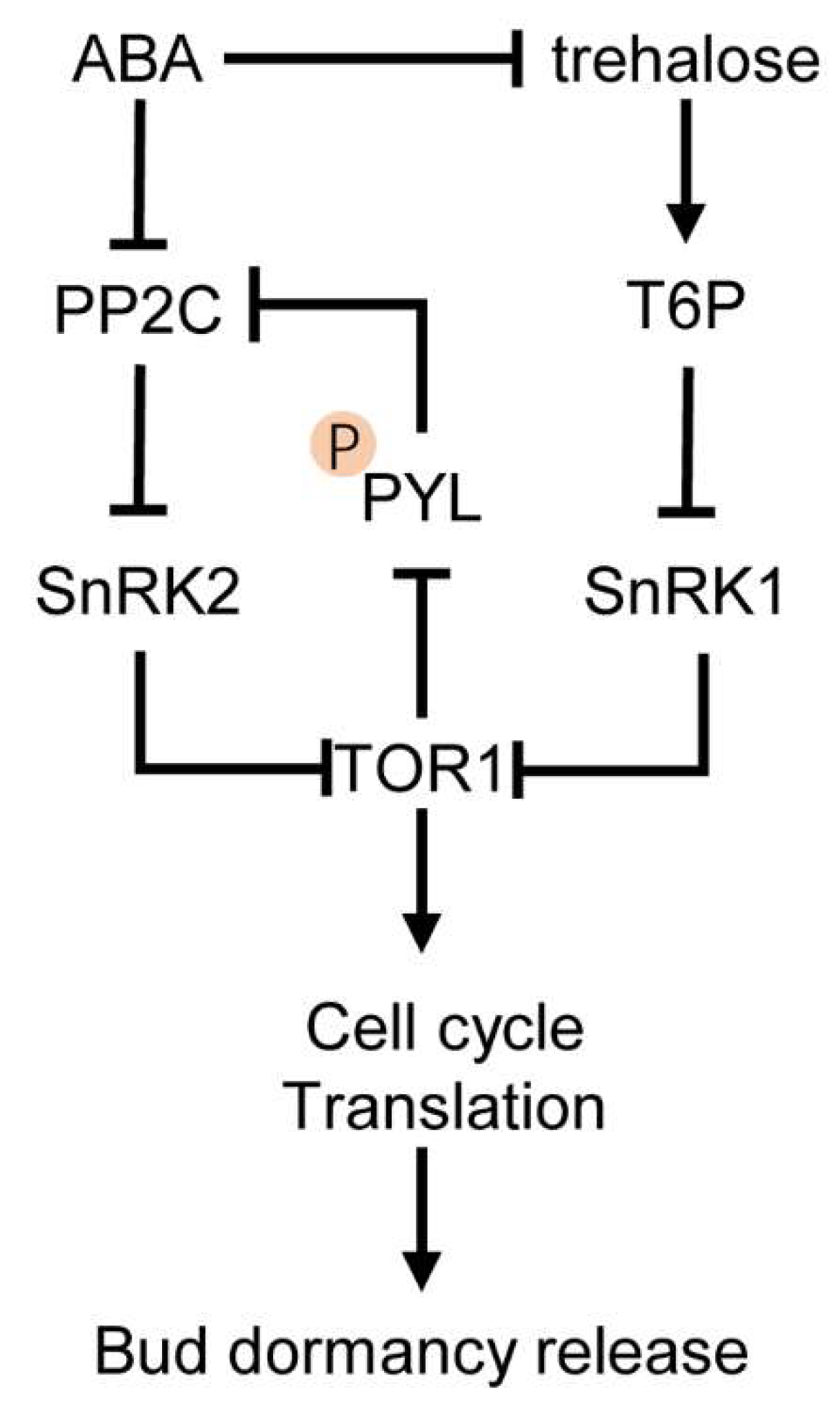 Genes 12 01635 g002 Genes 12 01635 g002