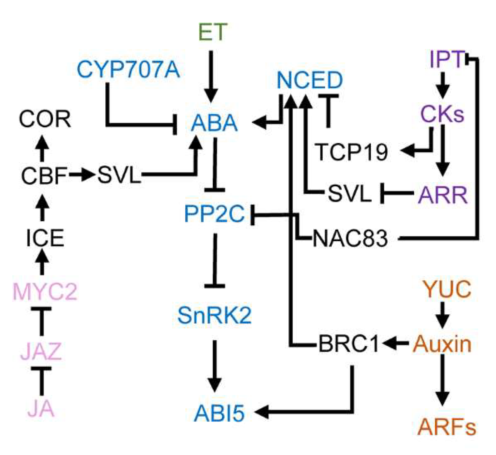 Genes 12 01635 g003 Genes 12 01635 g003