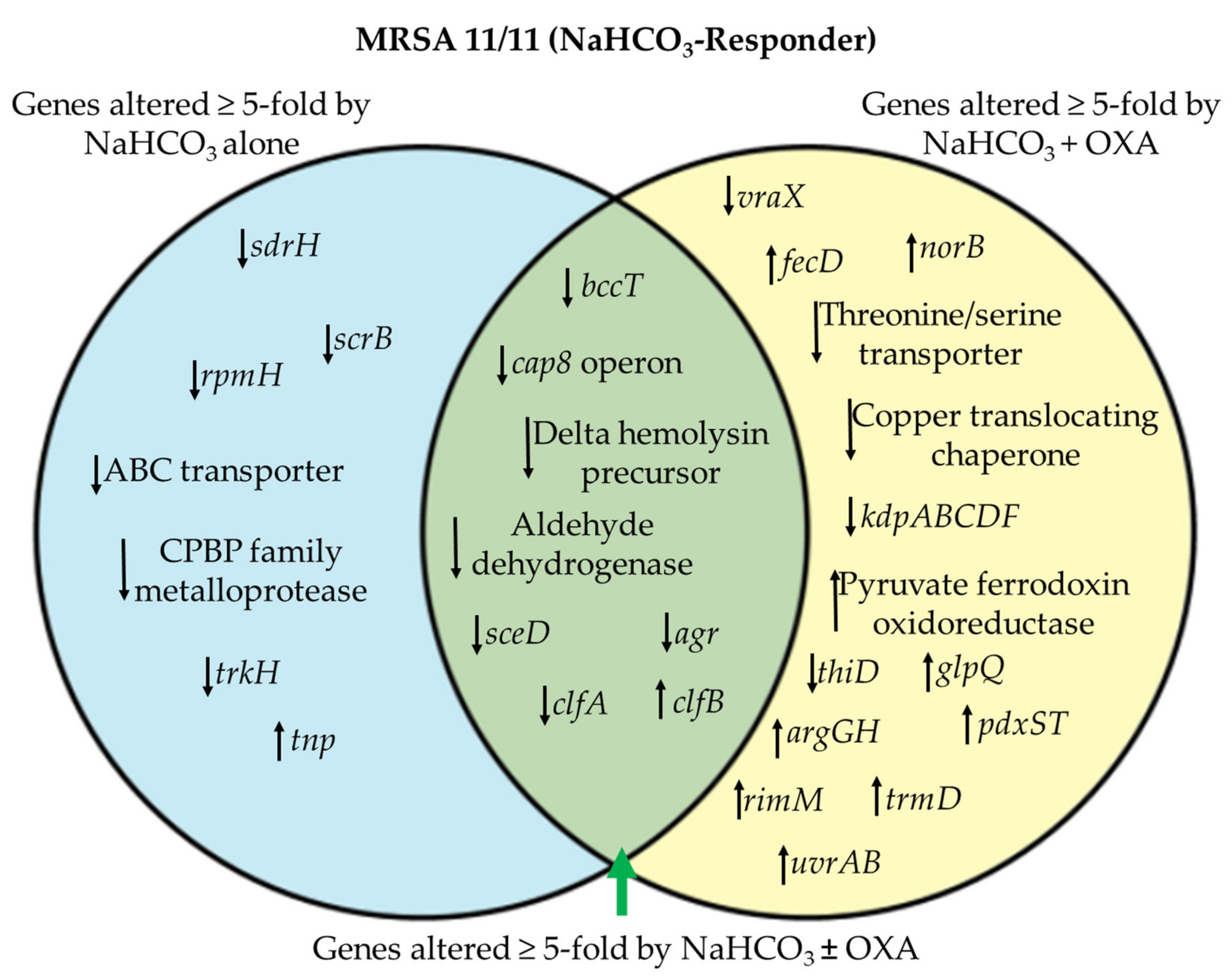Genes 12 01650 g002