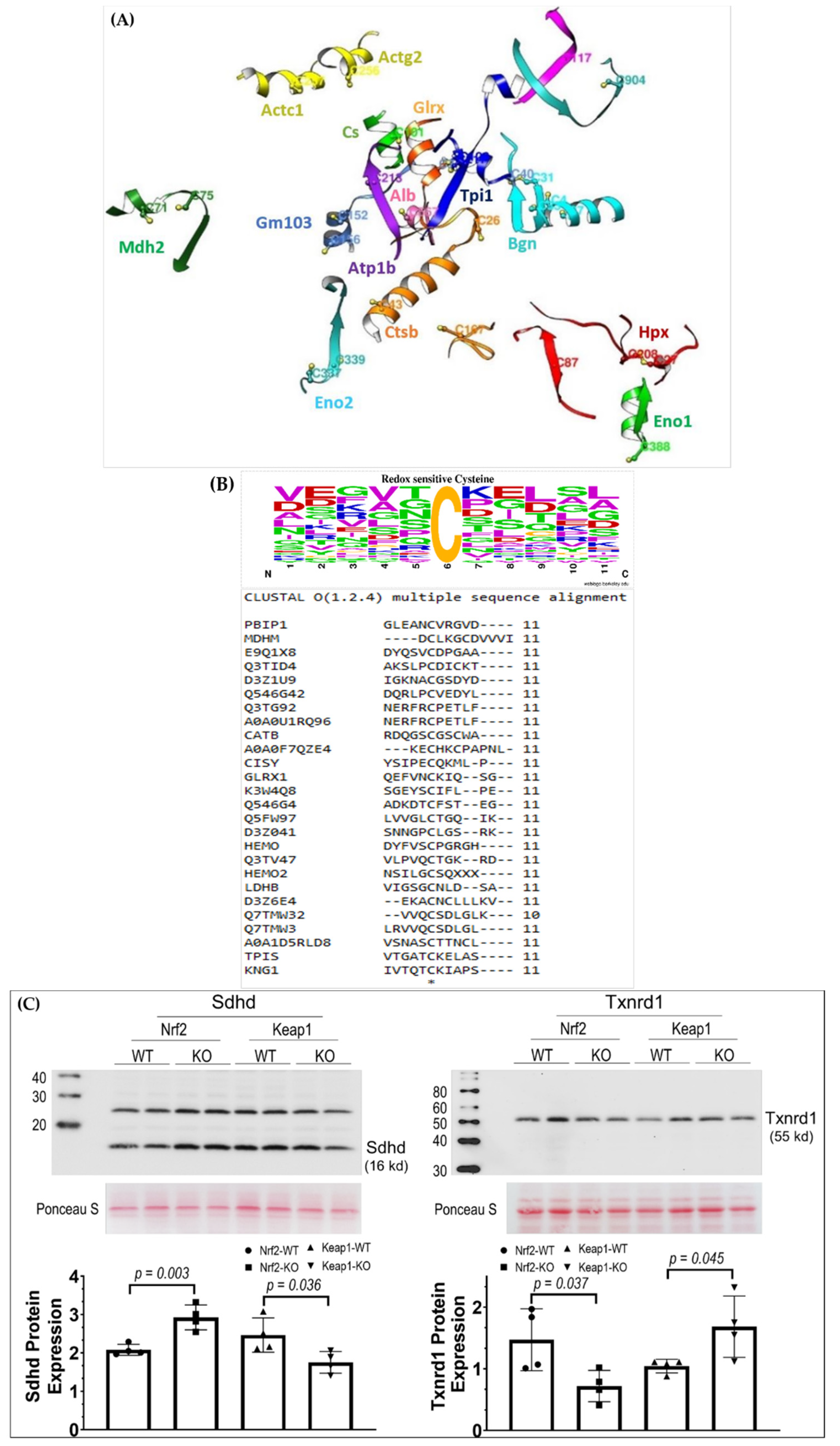 Genes 12 01655 g002