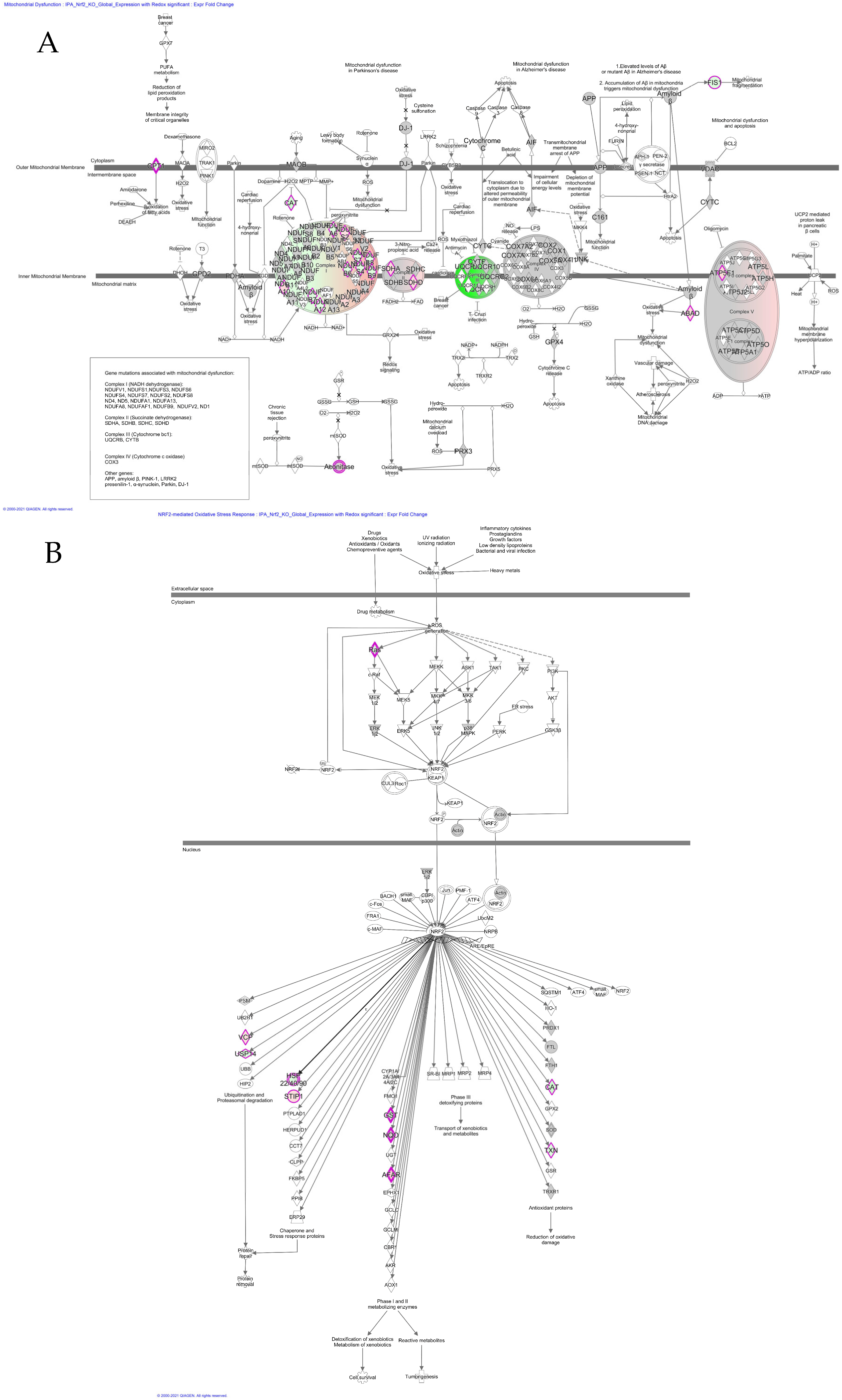 Genes 12 01655 g004