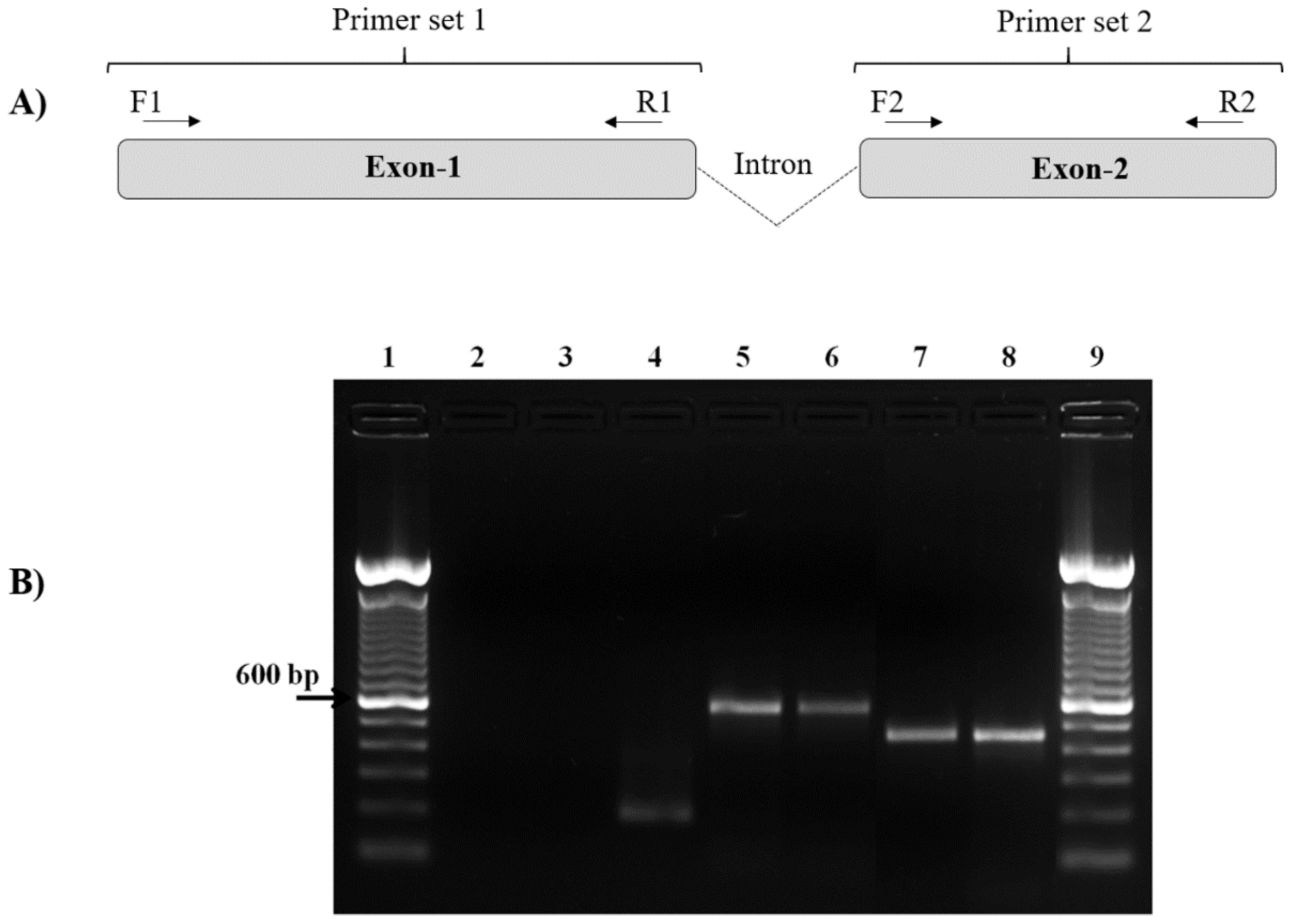 Genes 12 01657 g001