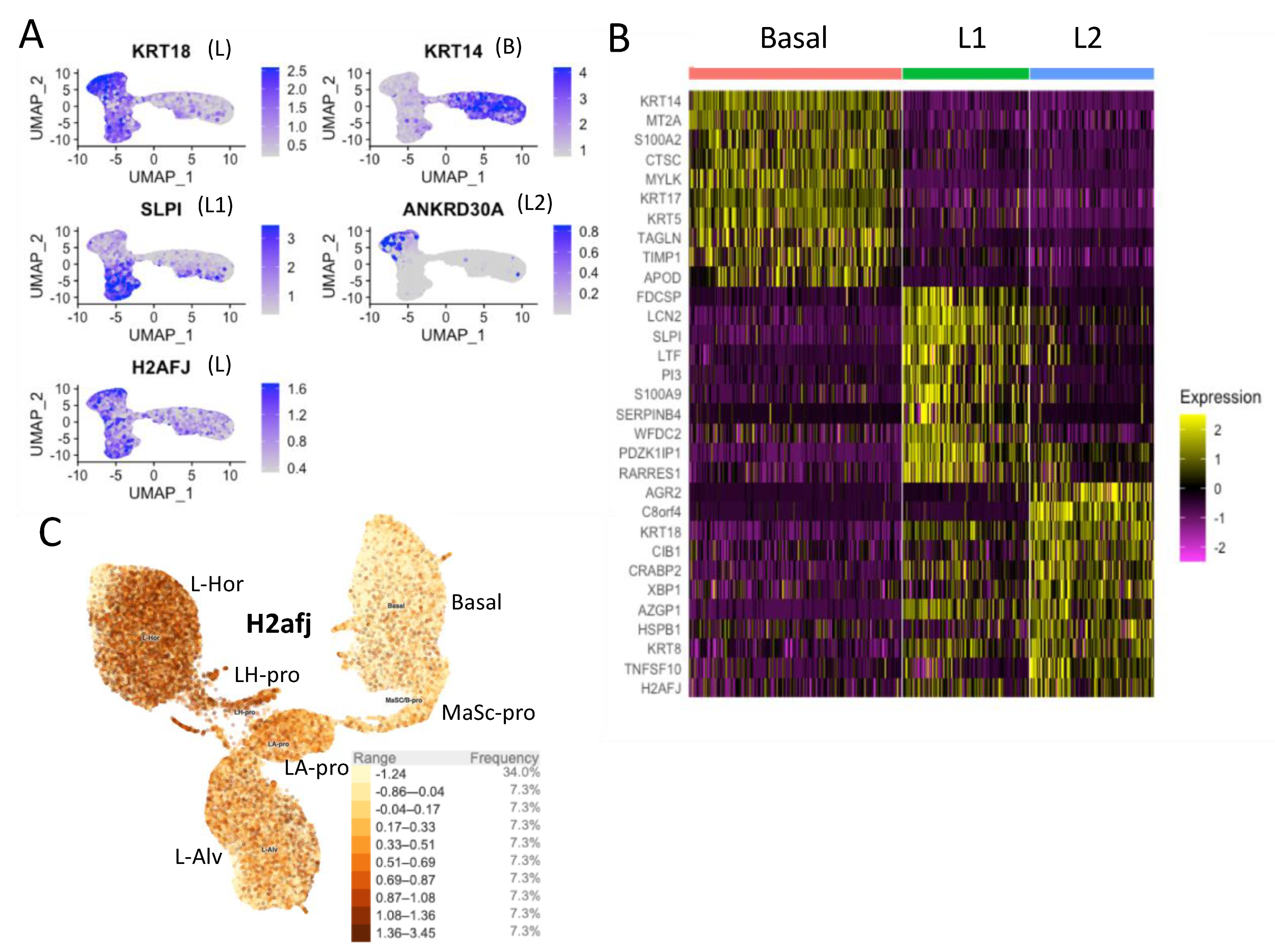 Genes 12 01665 g003