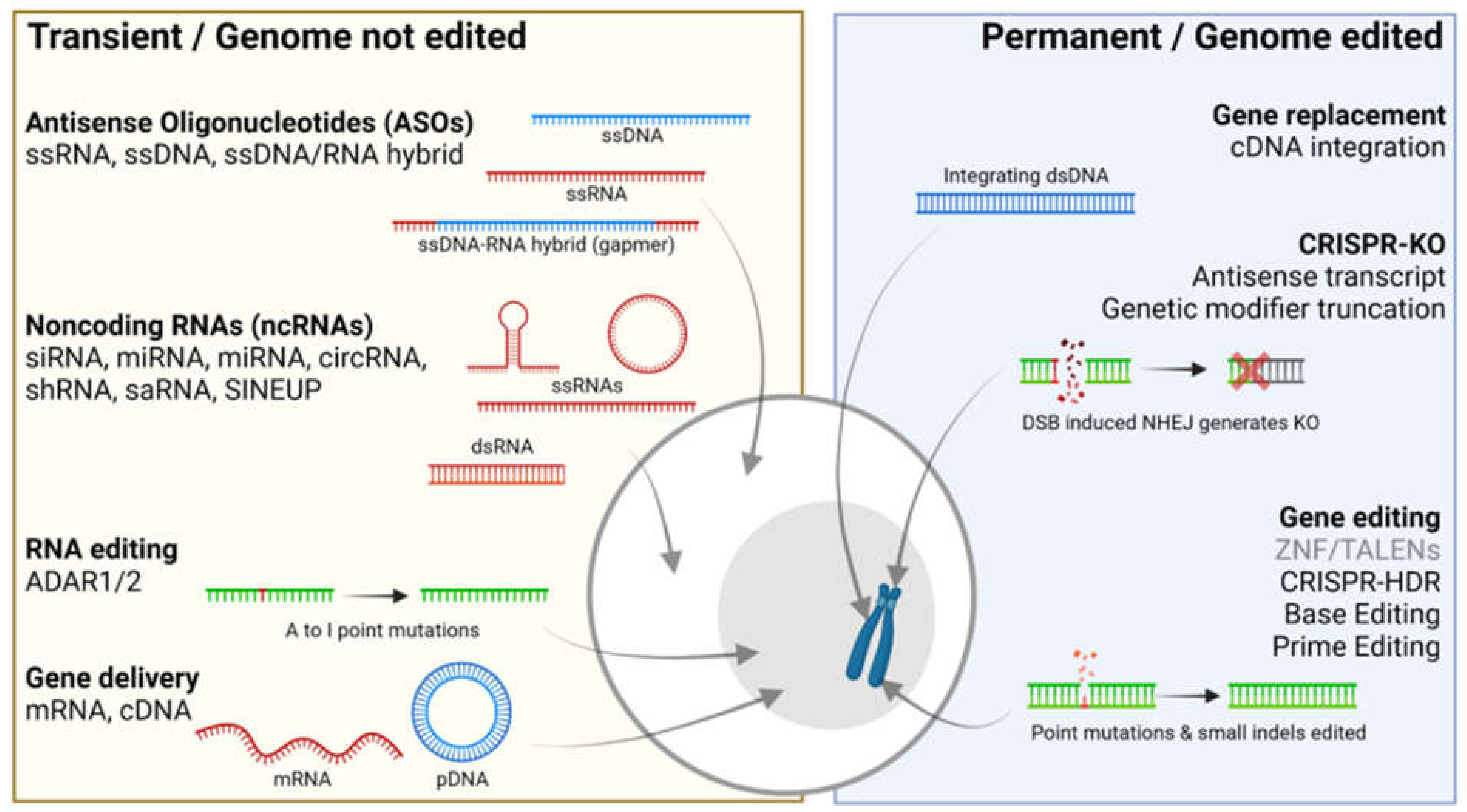 Genes 12 01667 g001 Genes 12 01667 g001