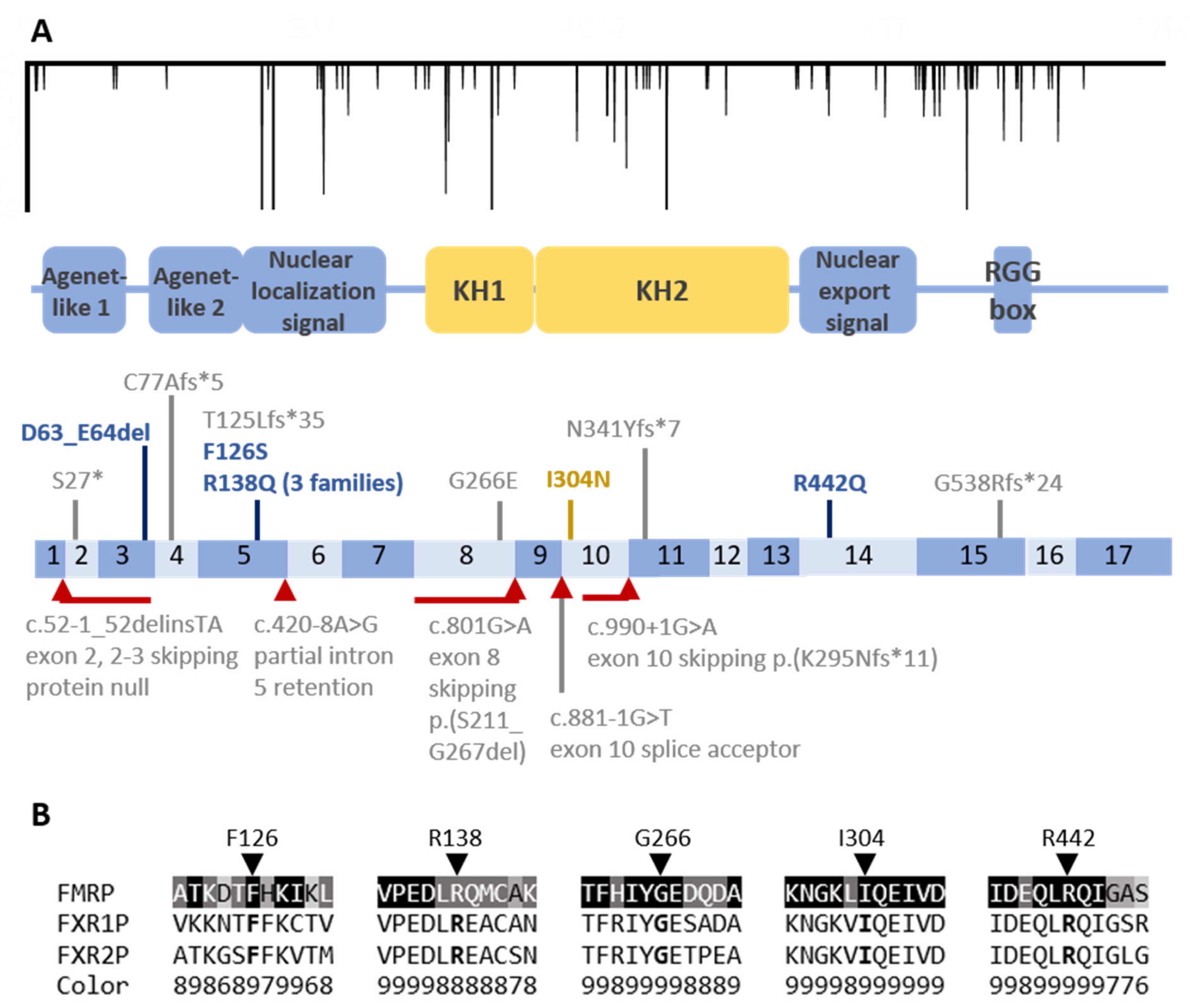 Genes 12 01669 g001