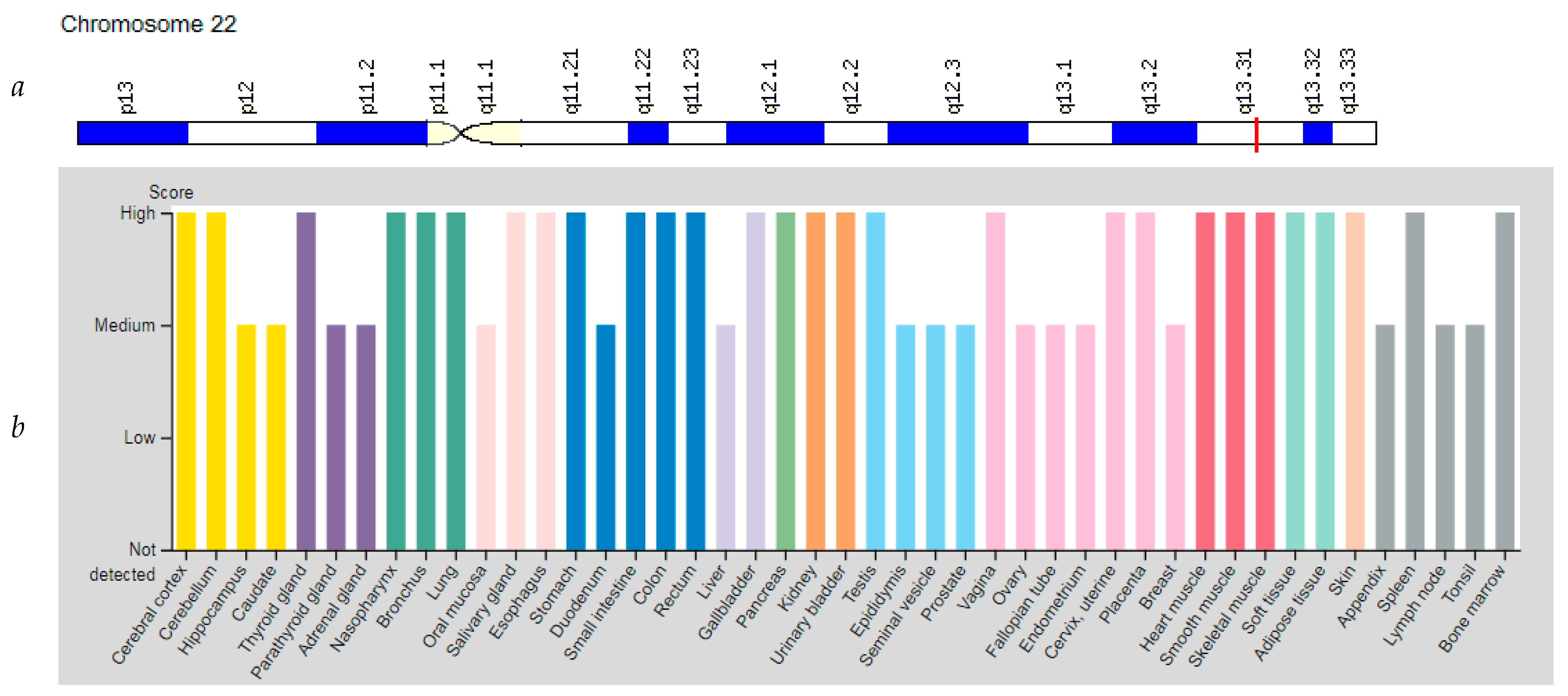 Genes 12 01682 g005