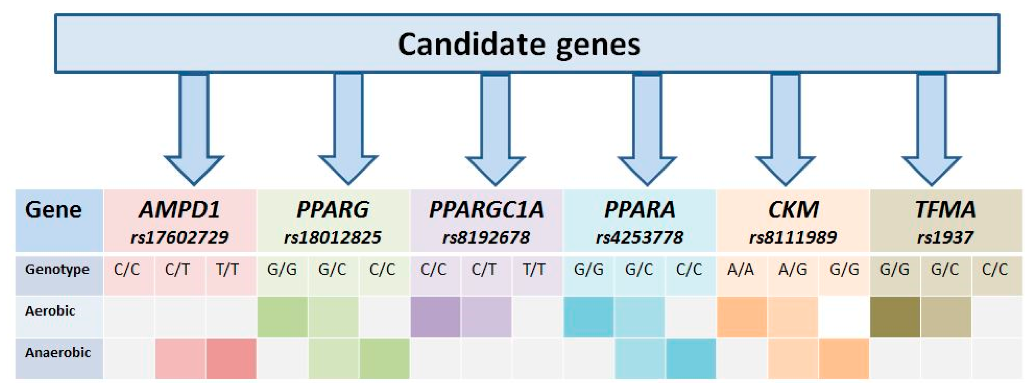 Genes 12 01682 g008