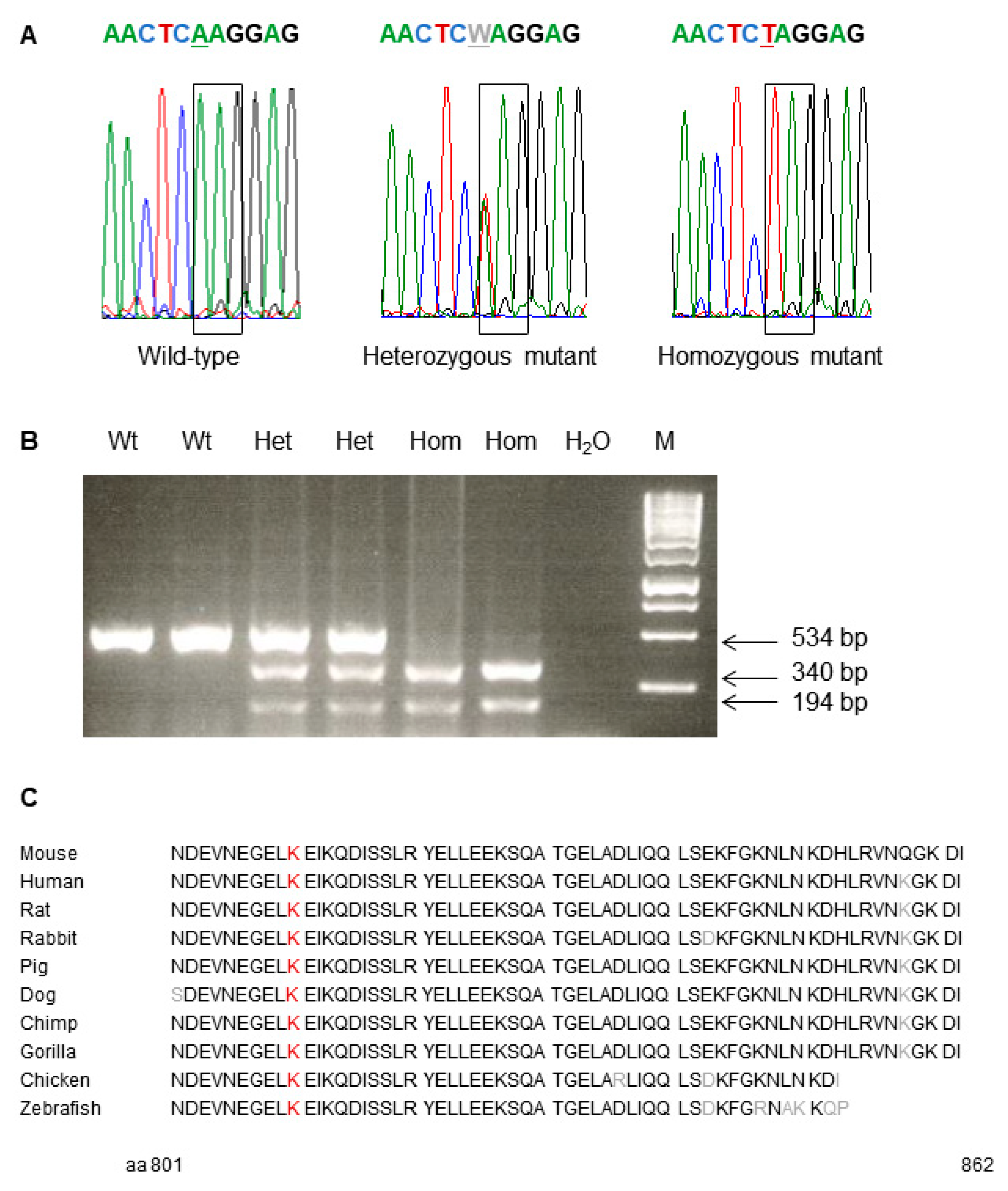 Genes 12 01732 g002
