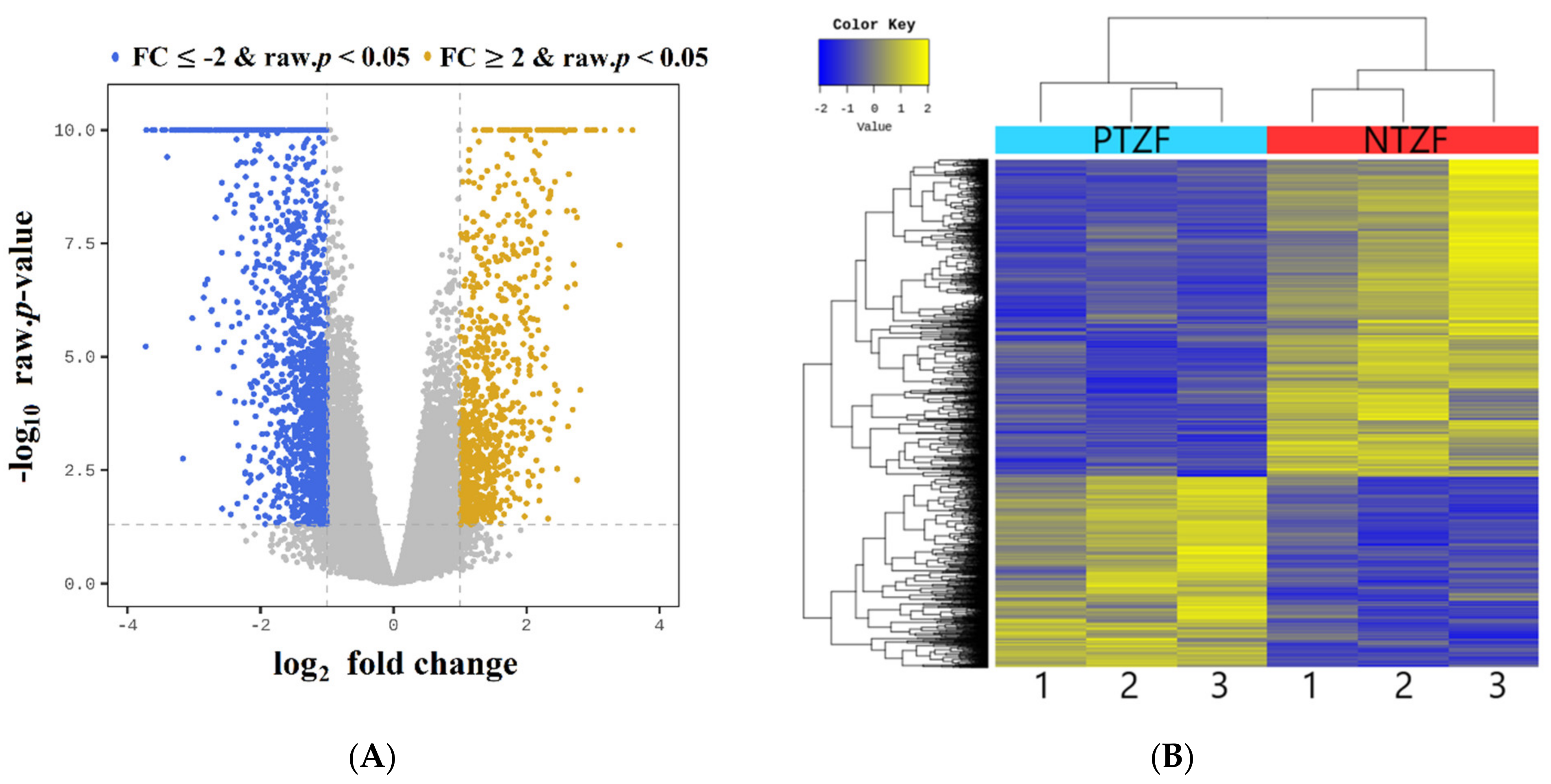 Genes 12 01738 g004