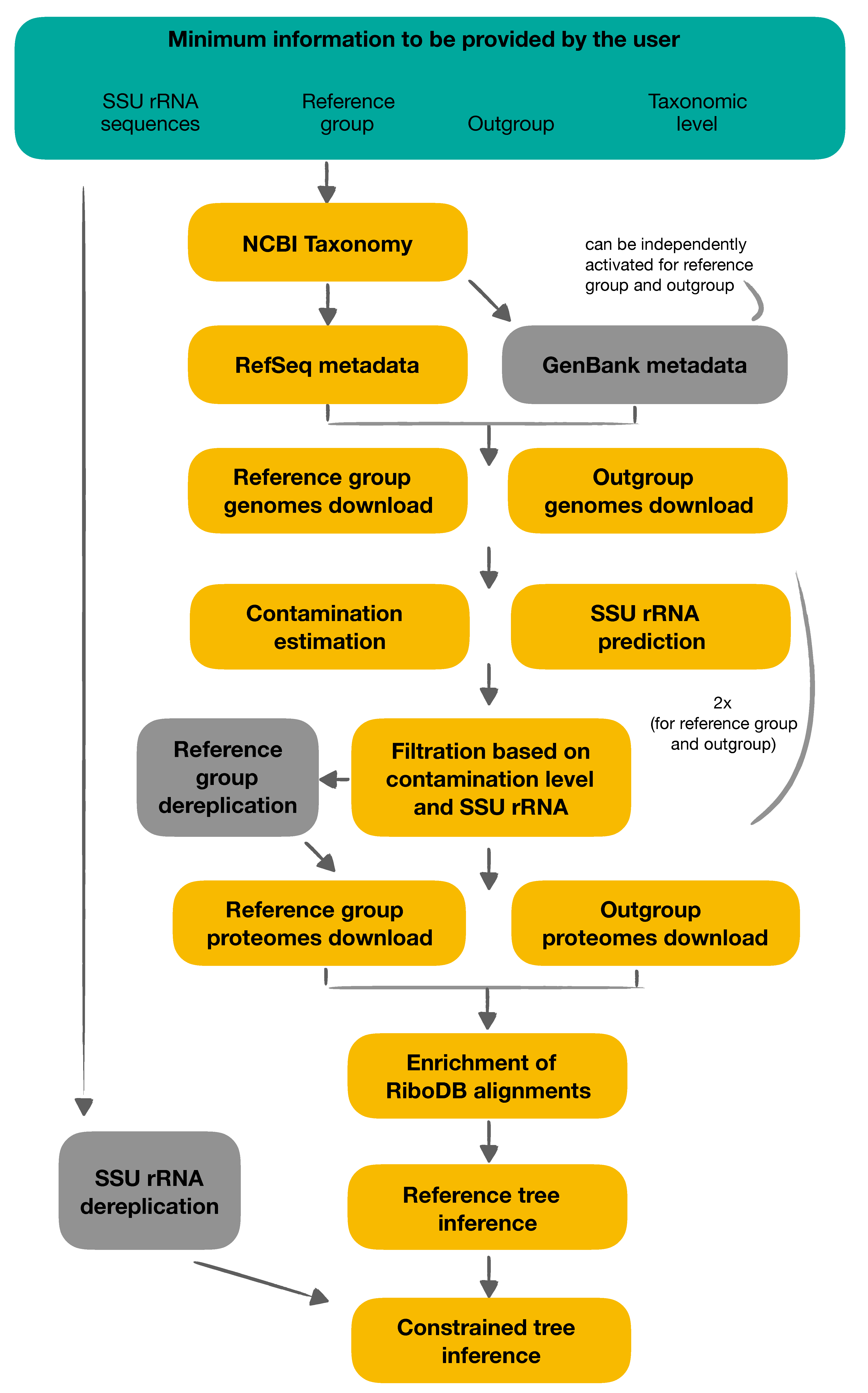 Genes 12 01741 g001