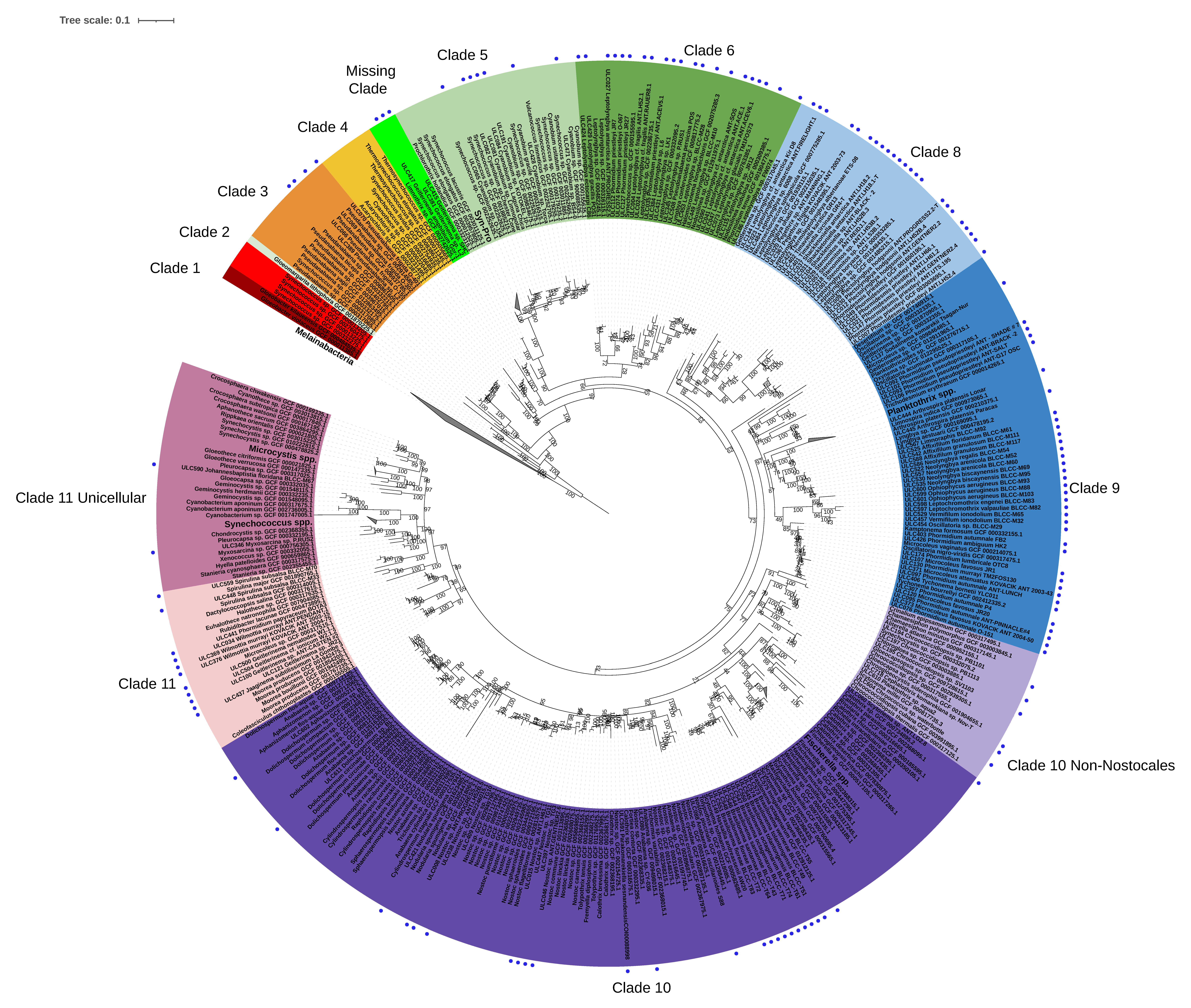 Genes 12 01741 g002