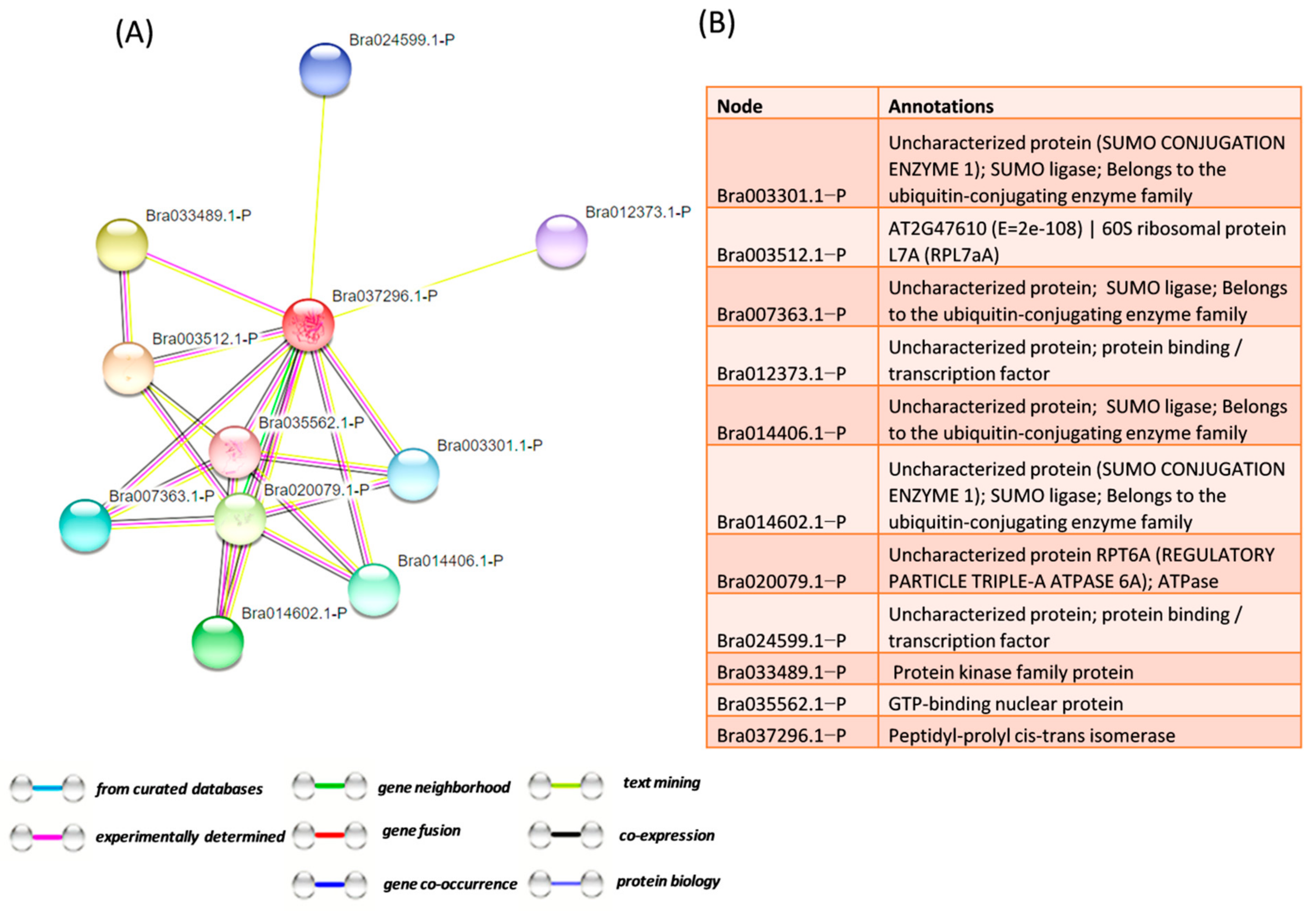 Genes 12 01784 g006