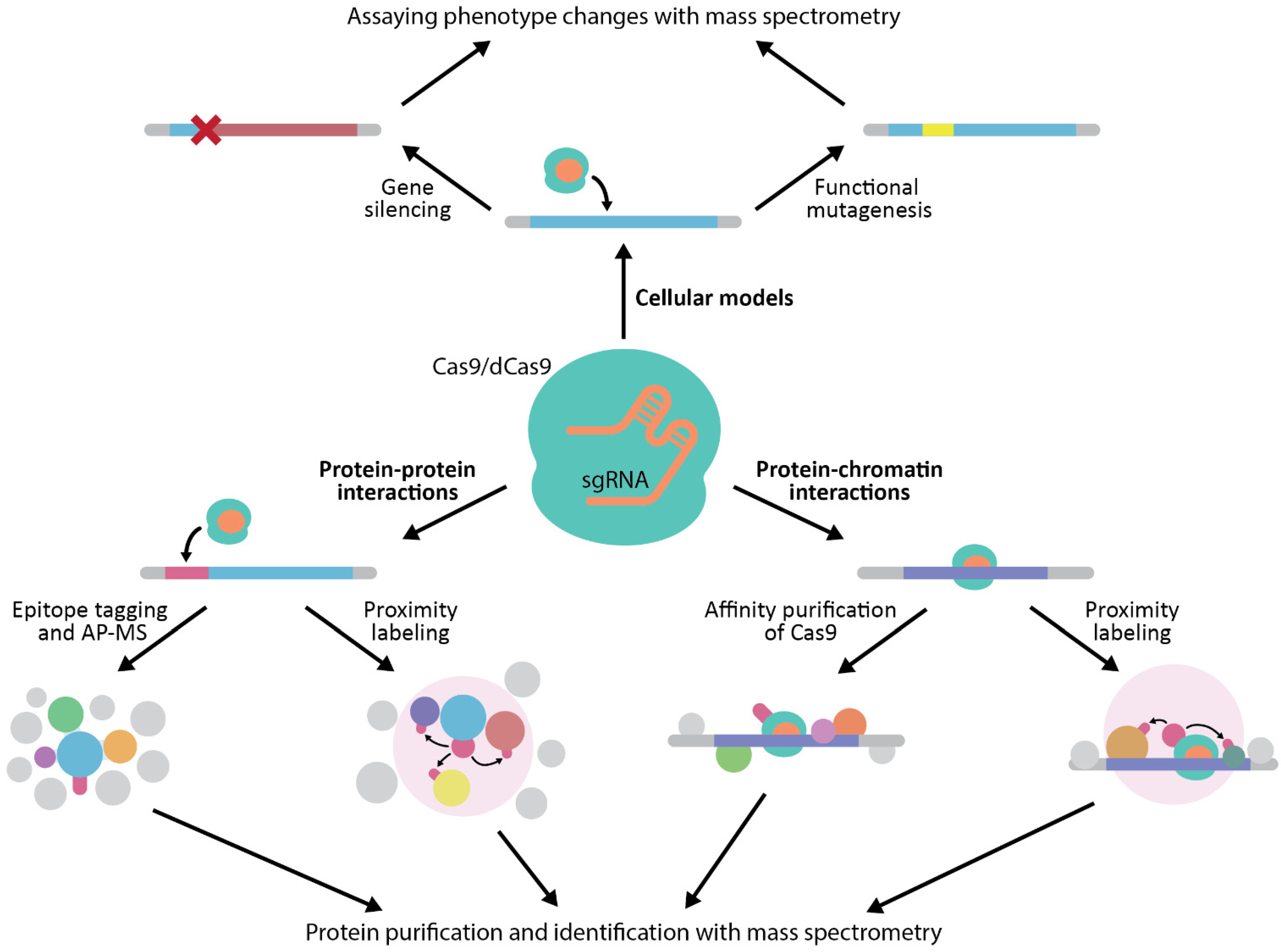 Genes 12 01790 g002 Genes 12 01790 g002