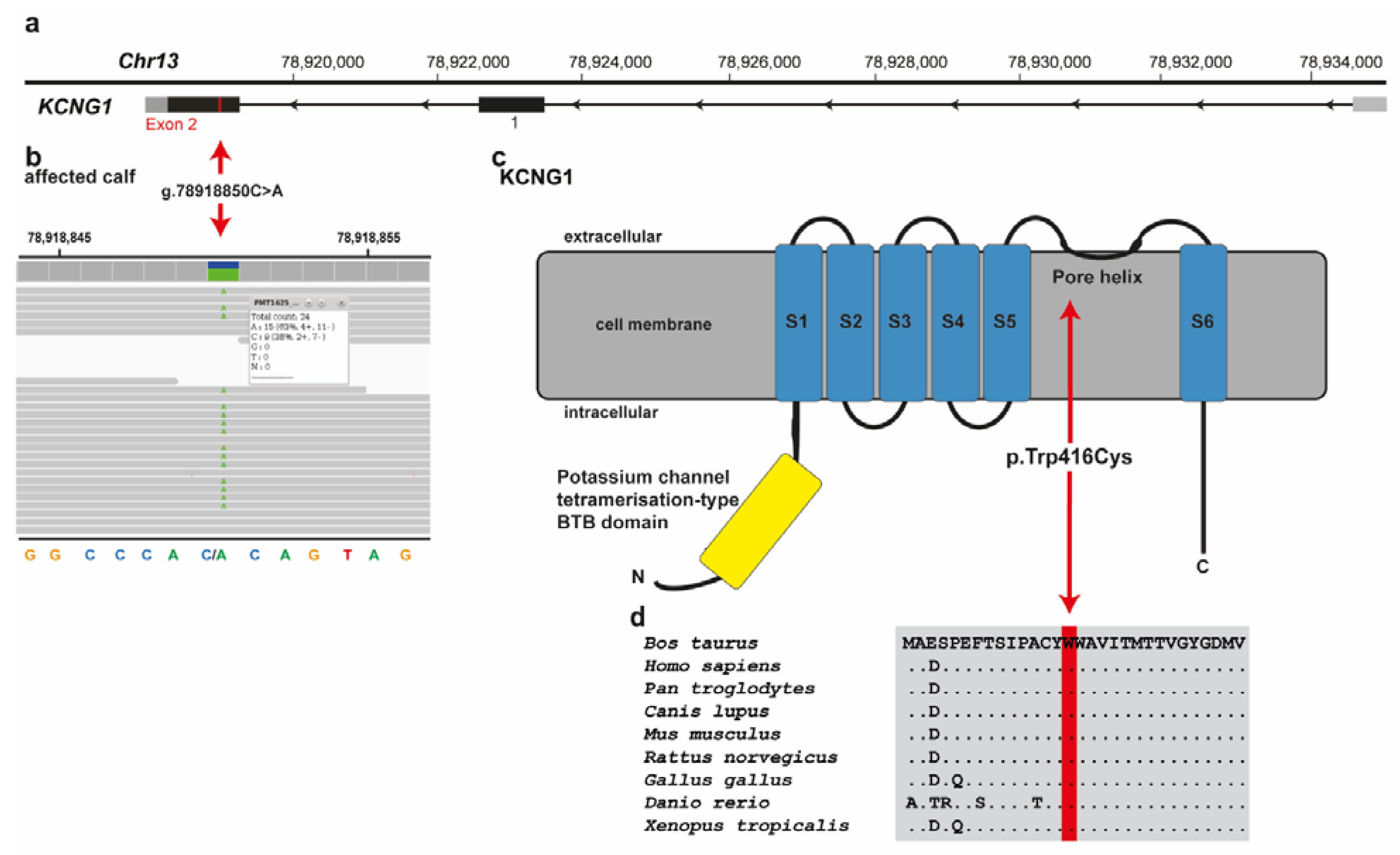 Genes 12 01792 g004