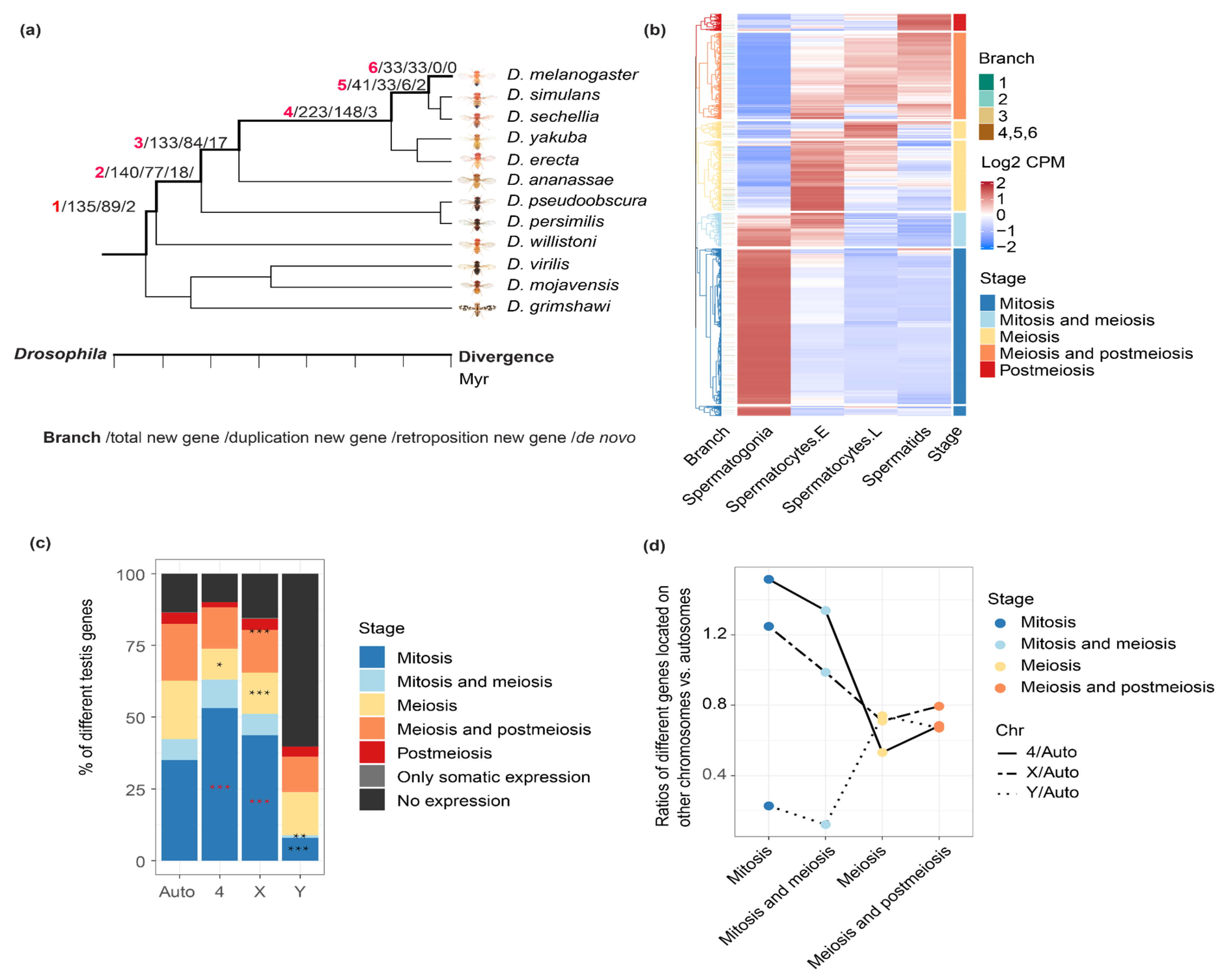 Genes 12 01796 g001
