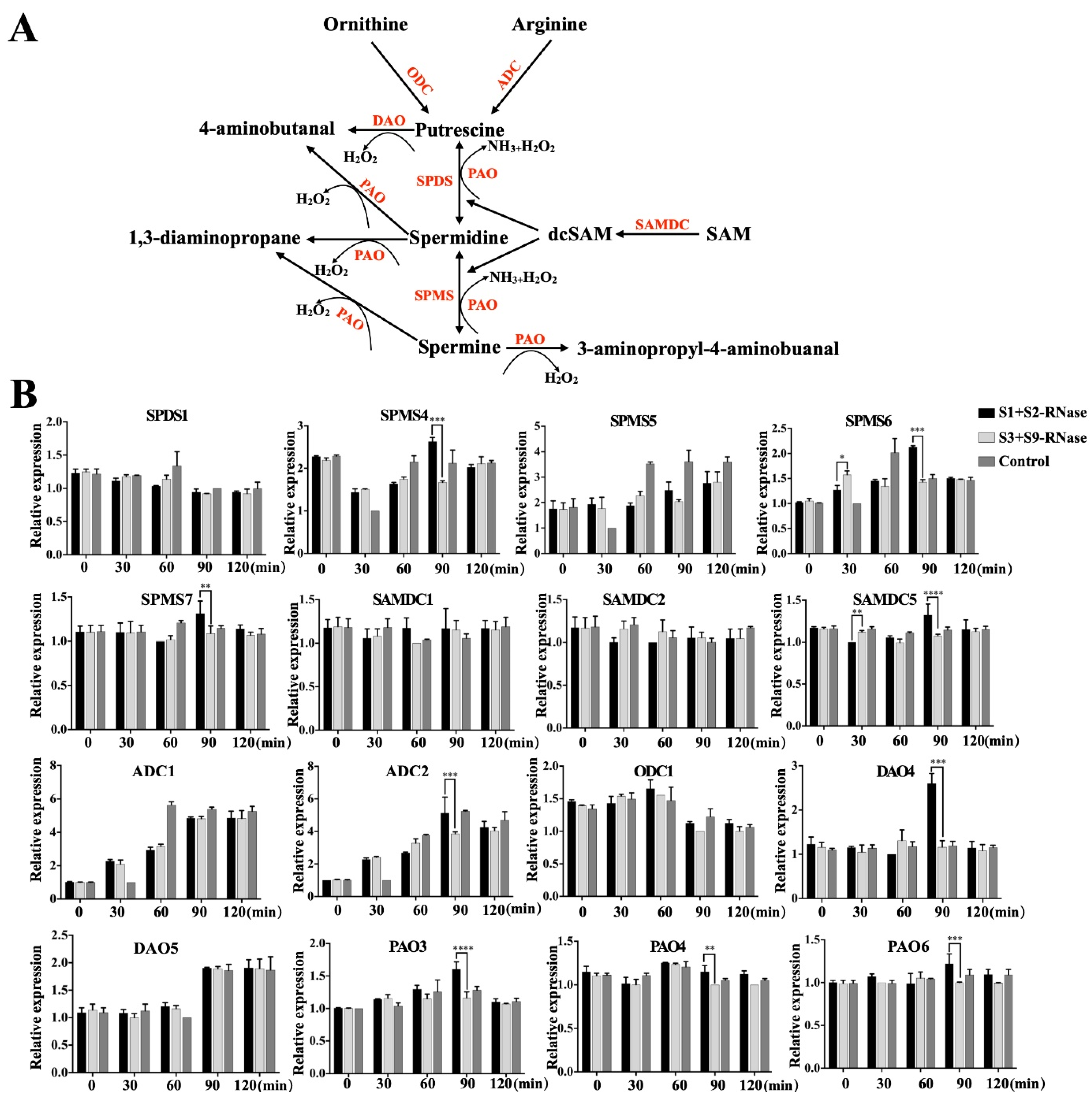 Genes 12 01797 g002