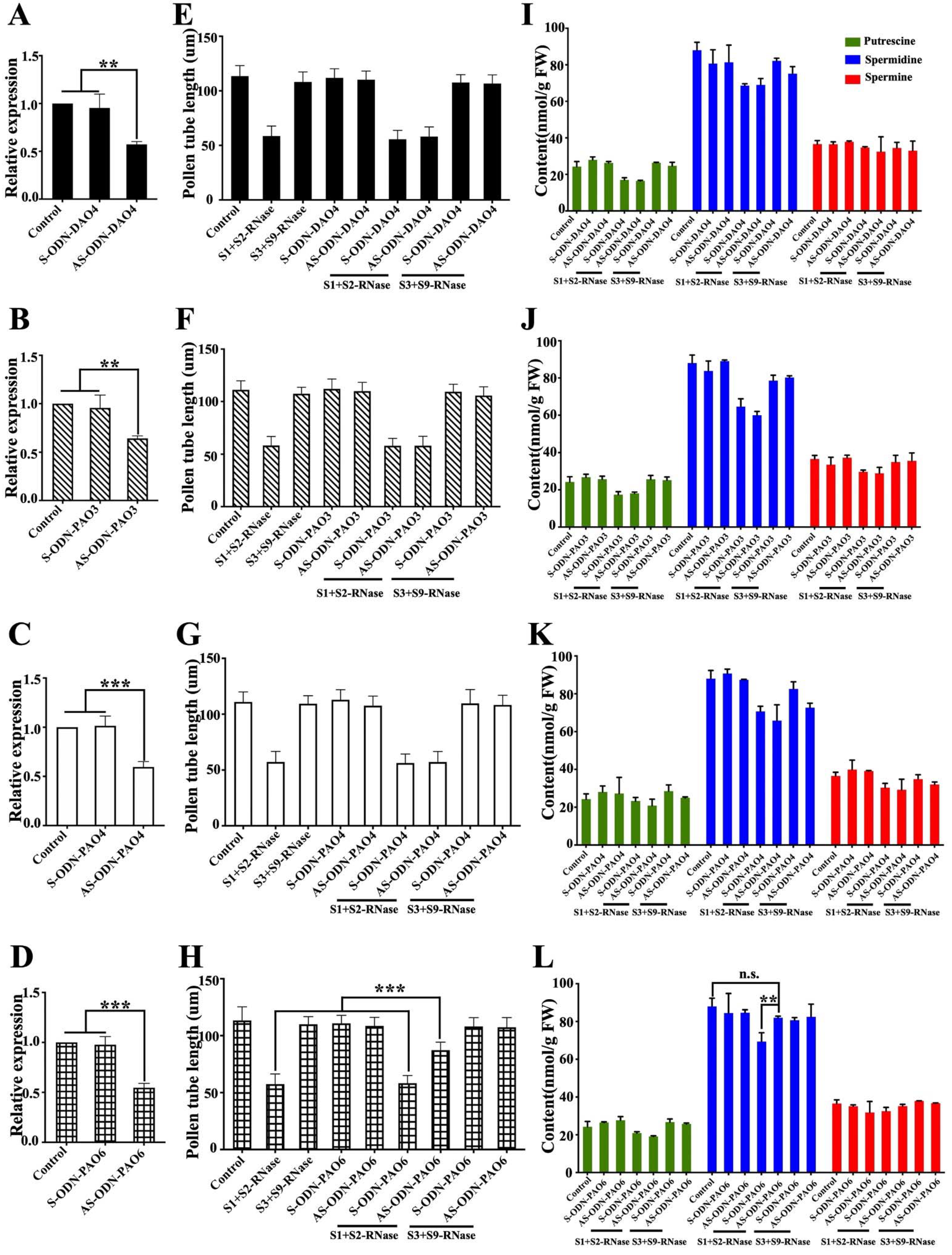 Genes 12 01797 g003