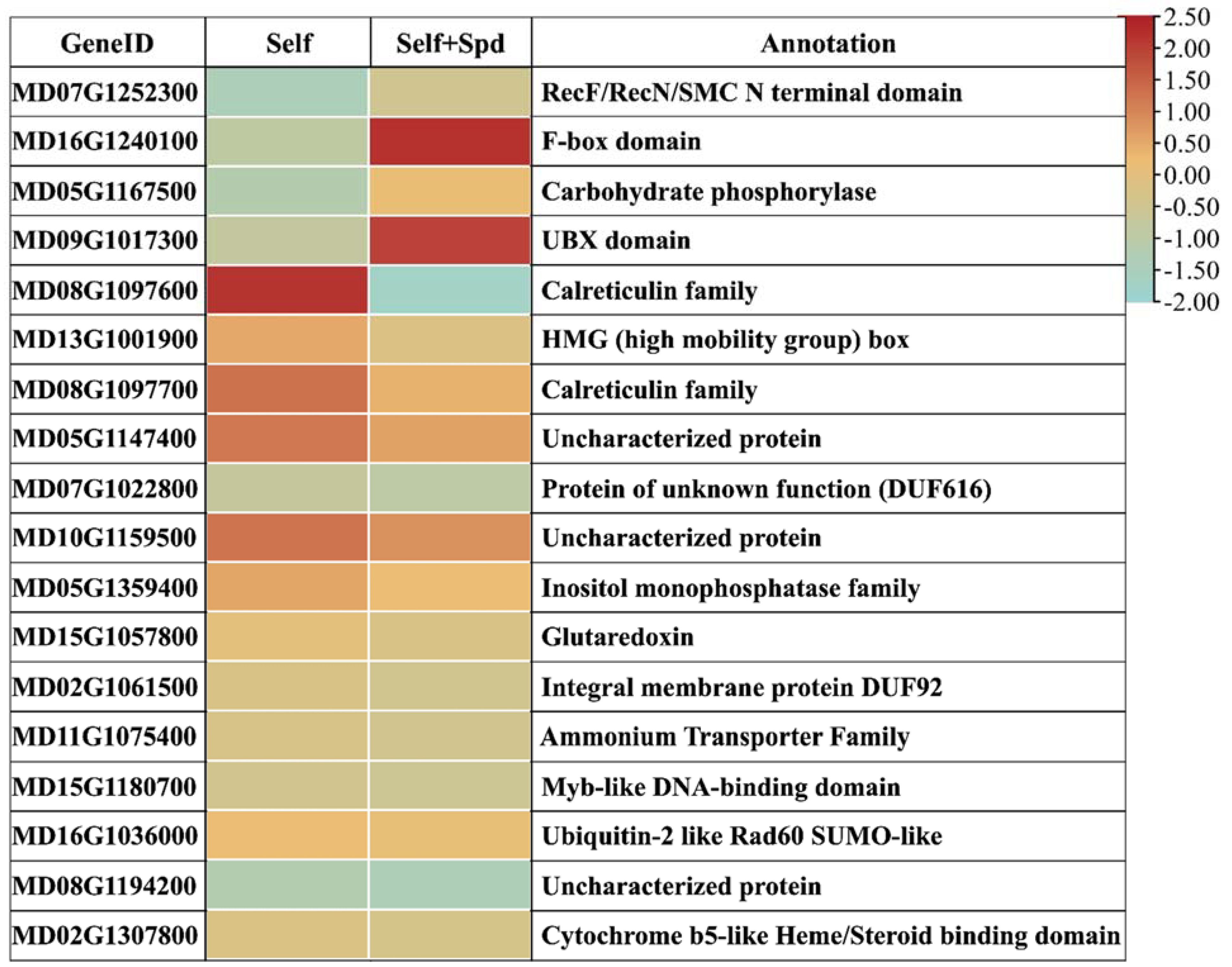 Genes 12 01797 g005