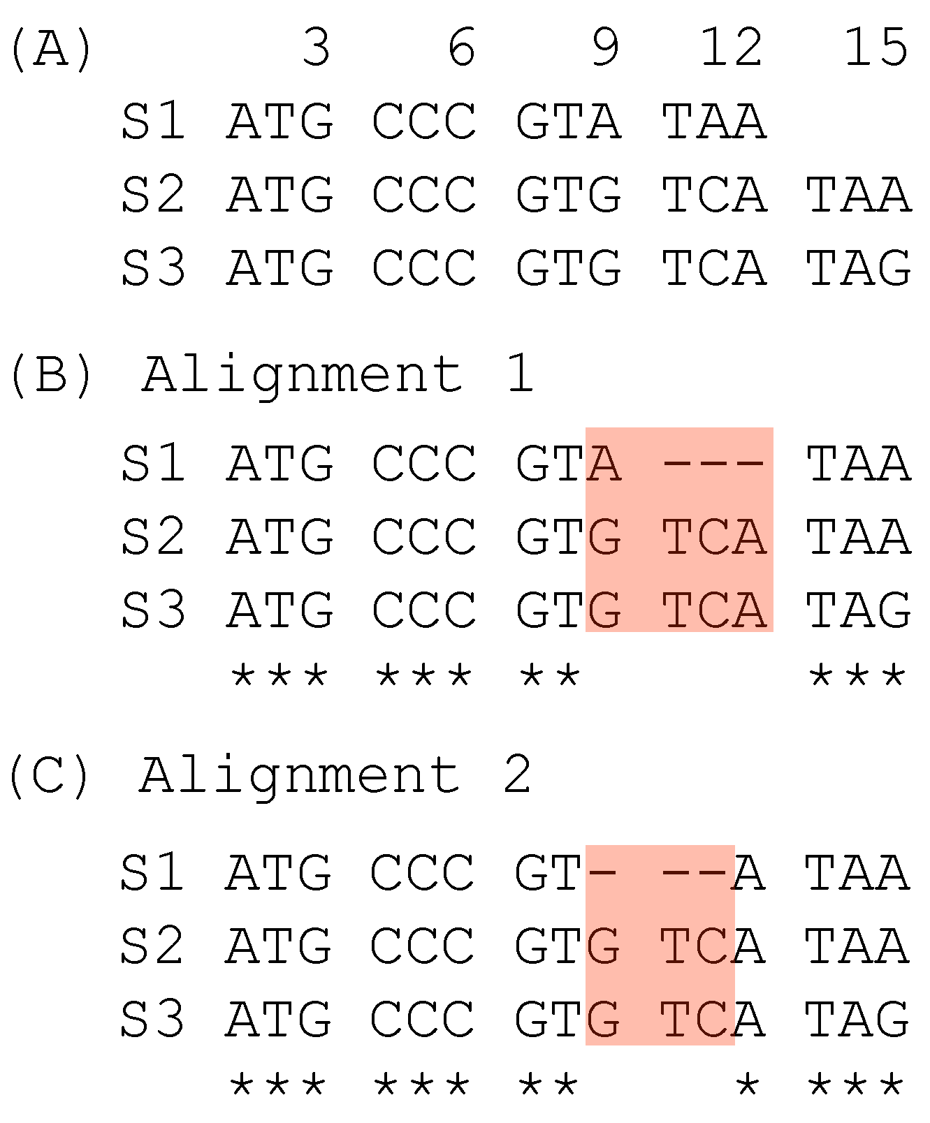 Genes 12 01809 g002