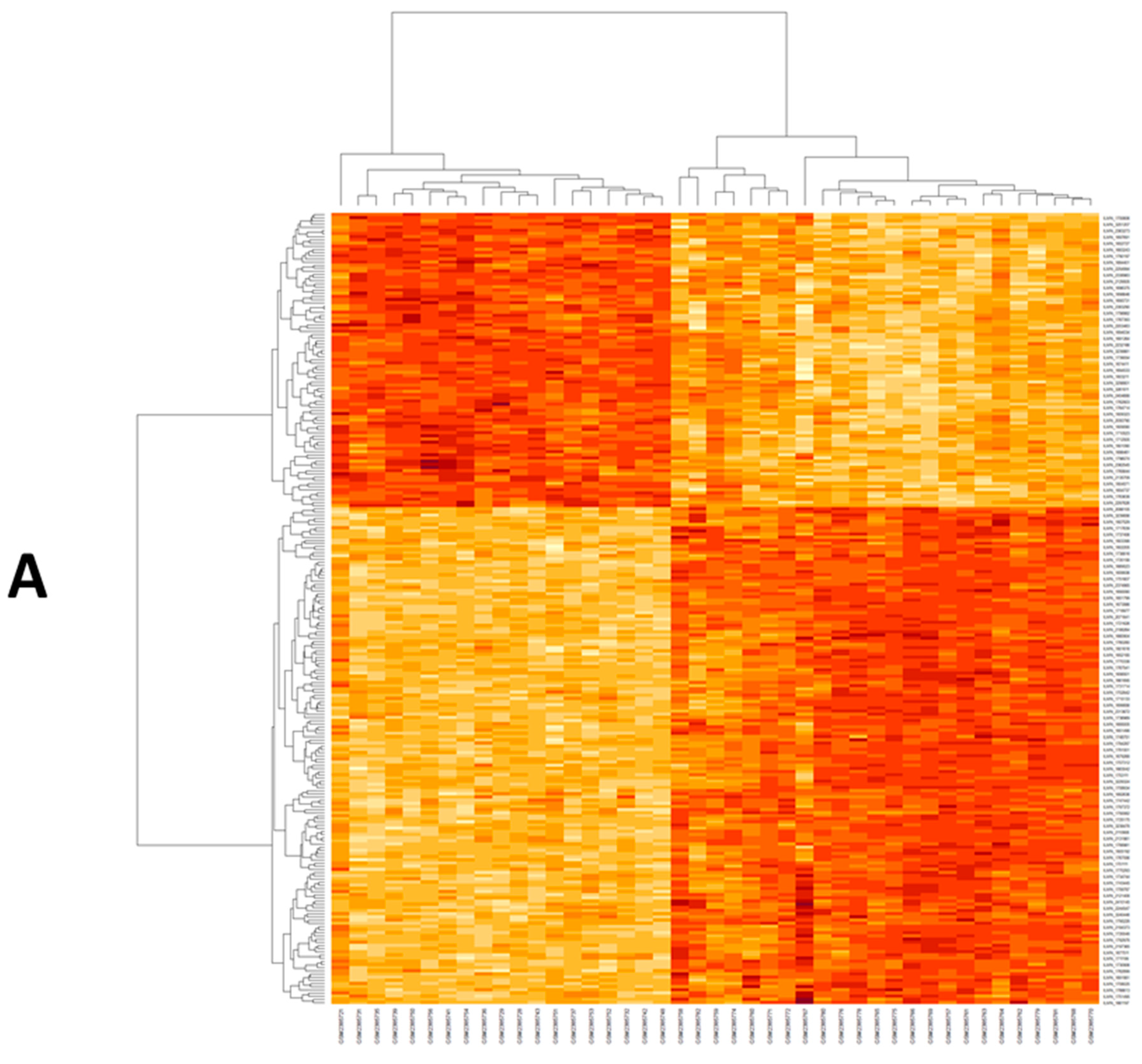 Genes 12 01813 g001a Genes 12 01813 g001a