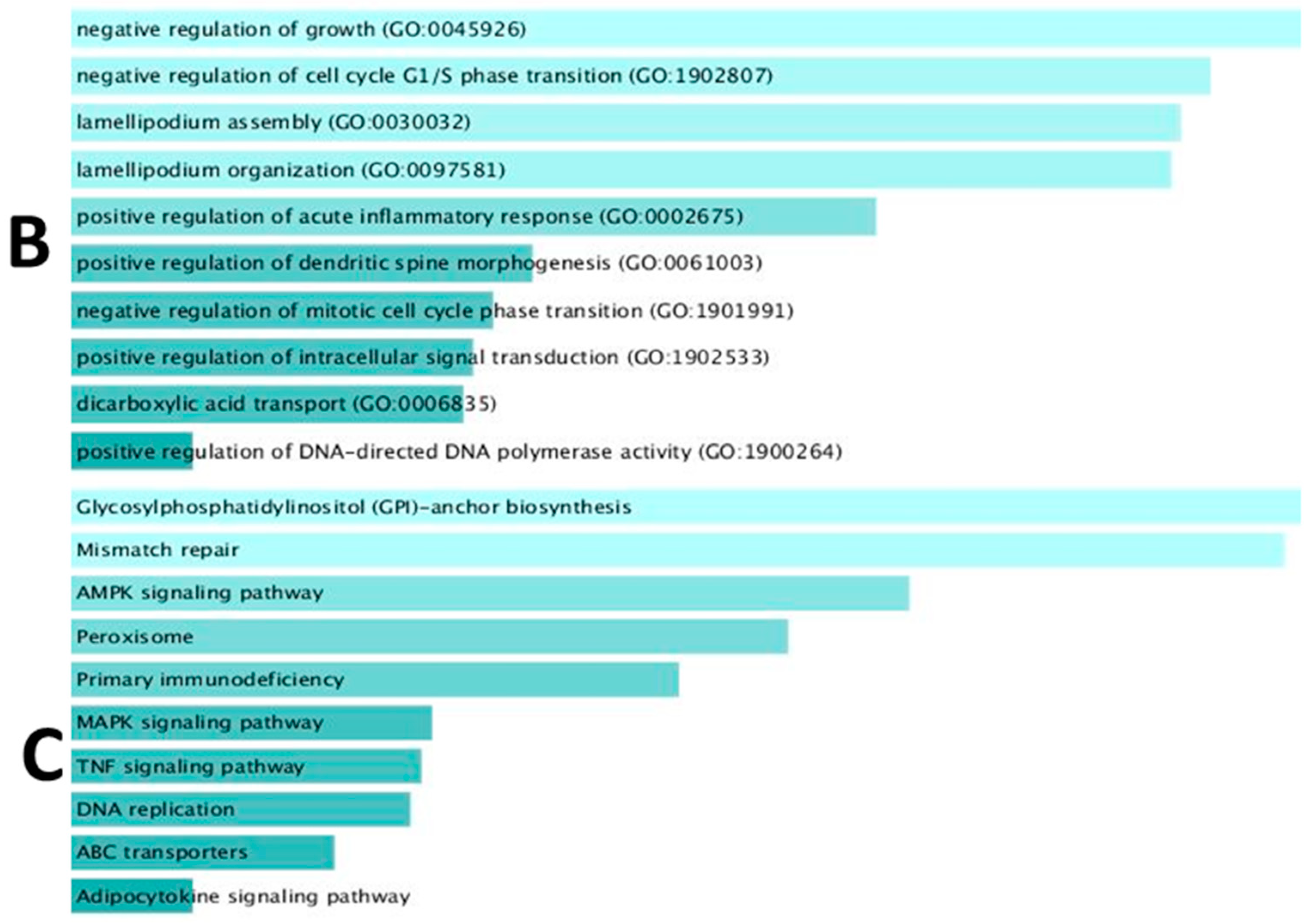 Genes 12 01813 g001b Genes 12 01813 g001b