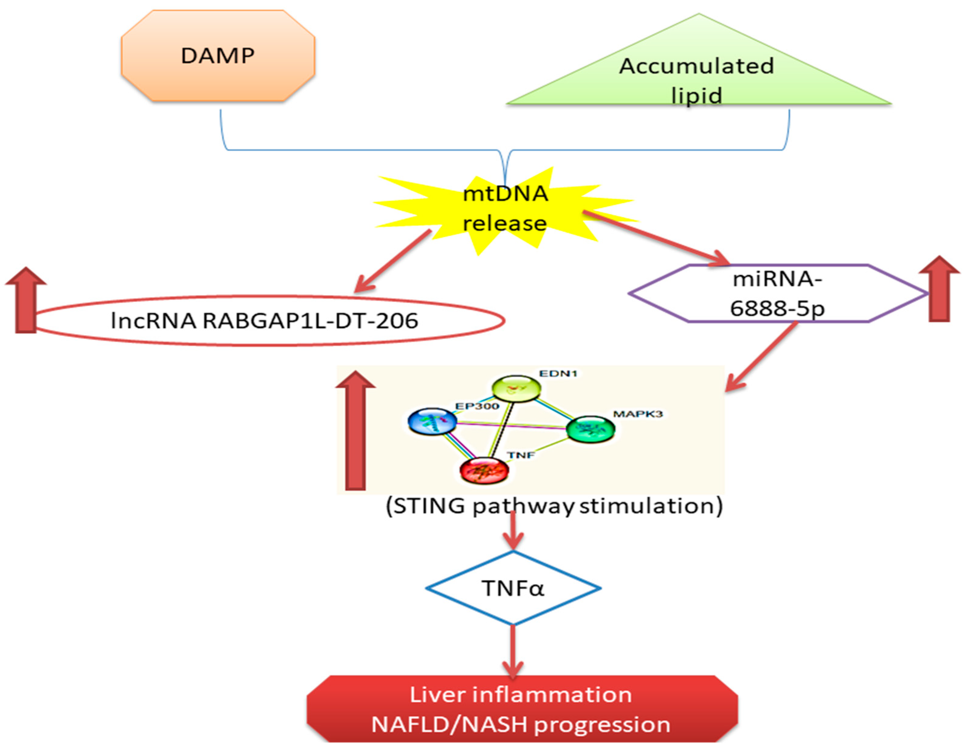 Genes 12 01813 g006 Genes 12 01813 g006