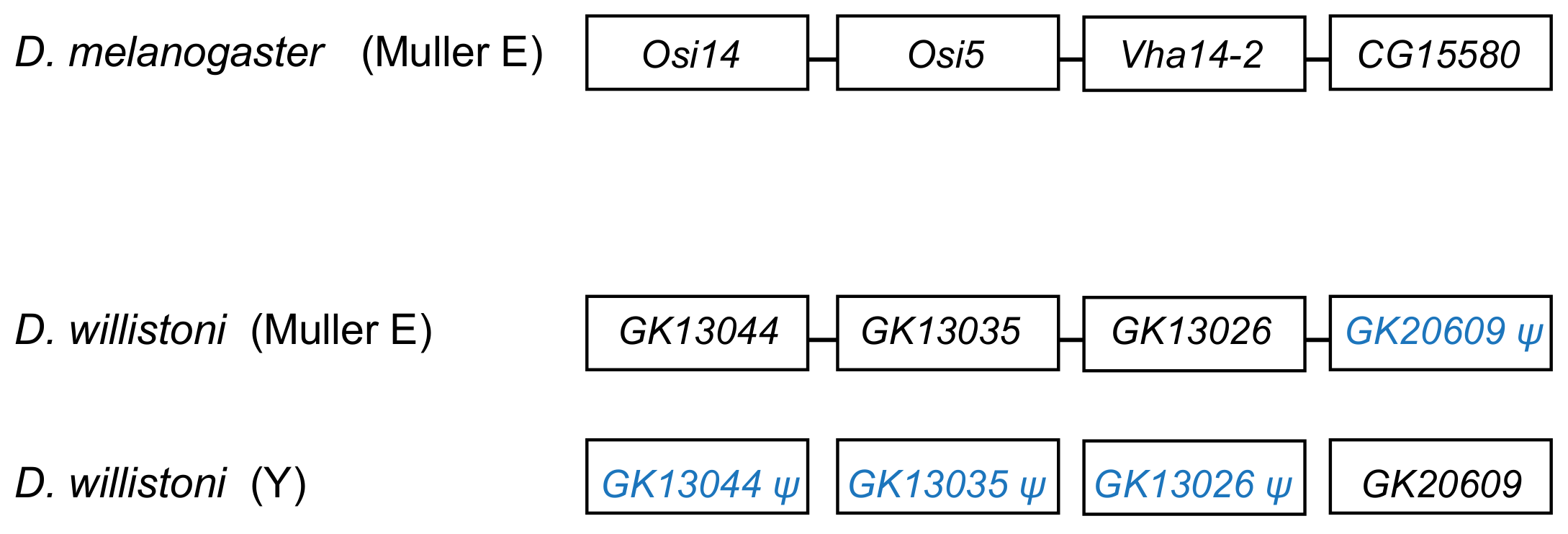 Genes 12 01815 g004