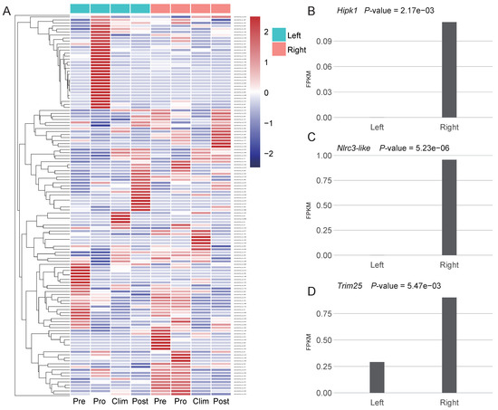 Genes 12 01819 g003 550