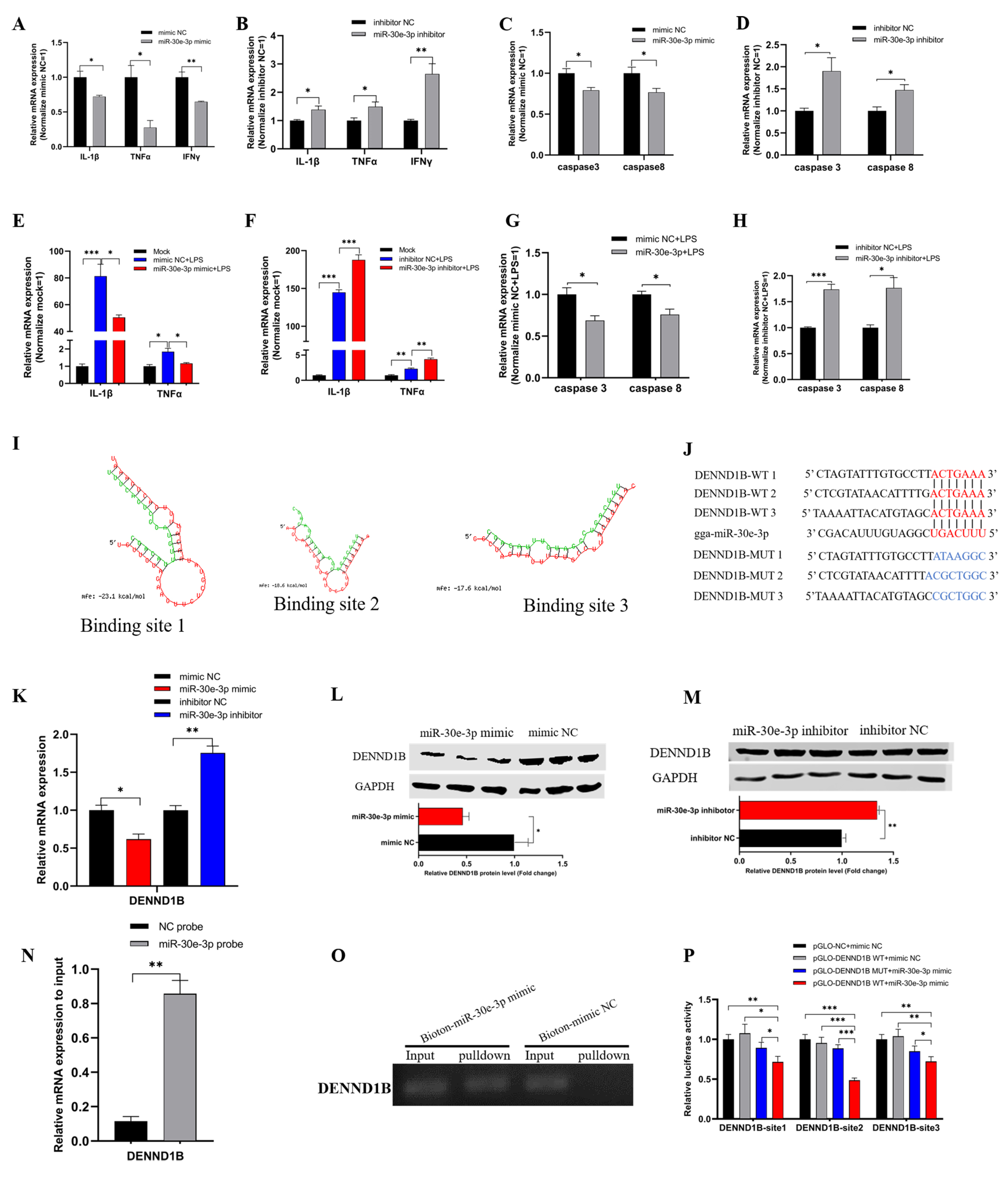 Genes 12 01829 g003