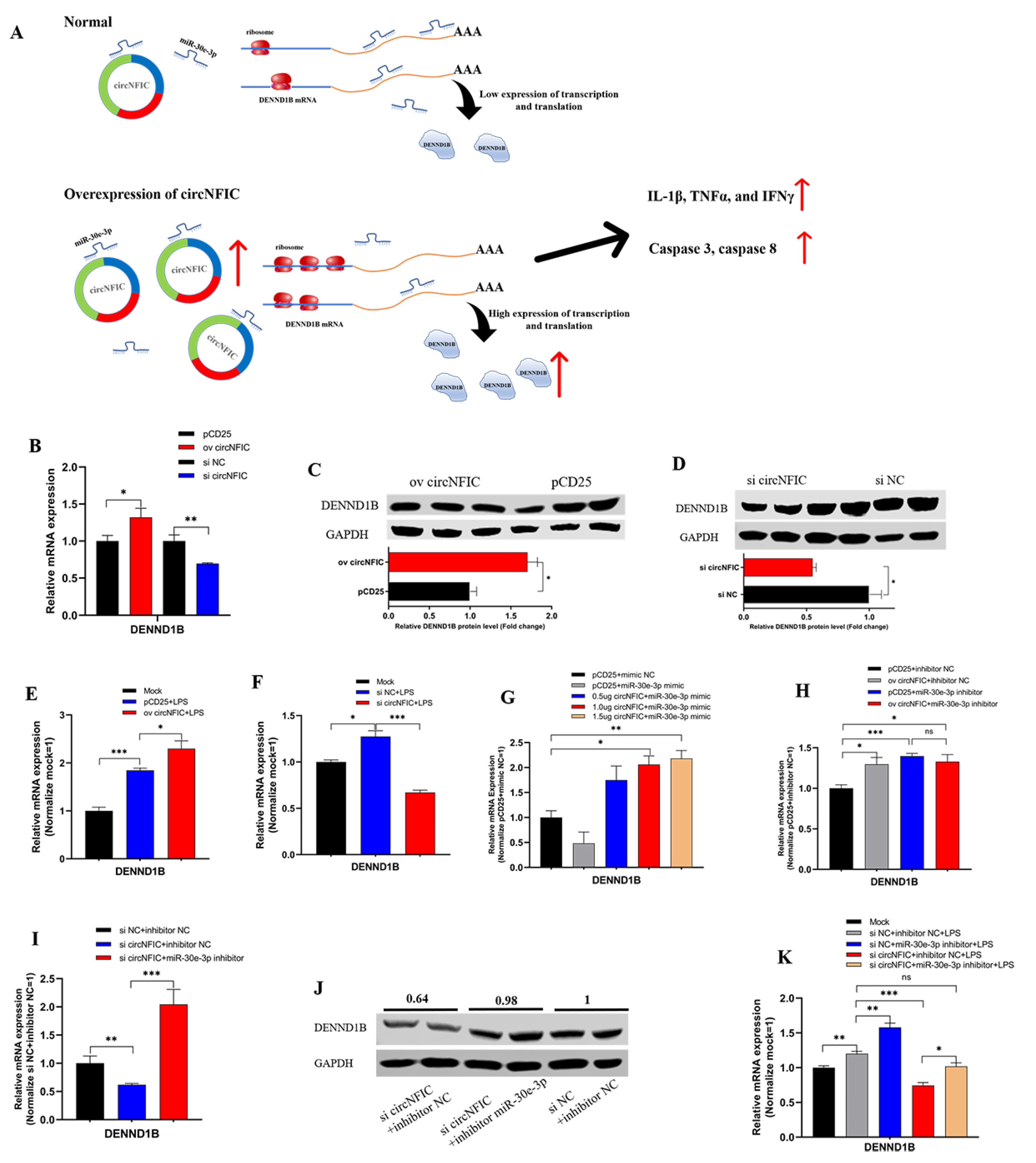Genes 12 01829 g004