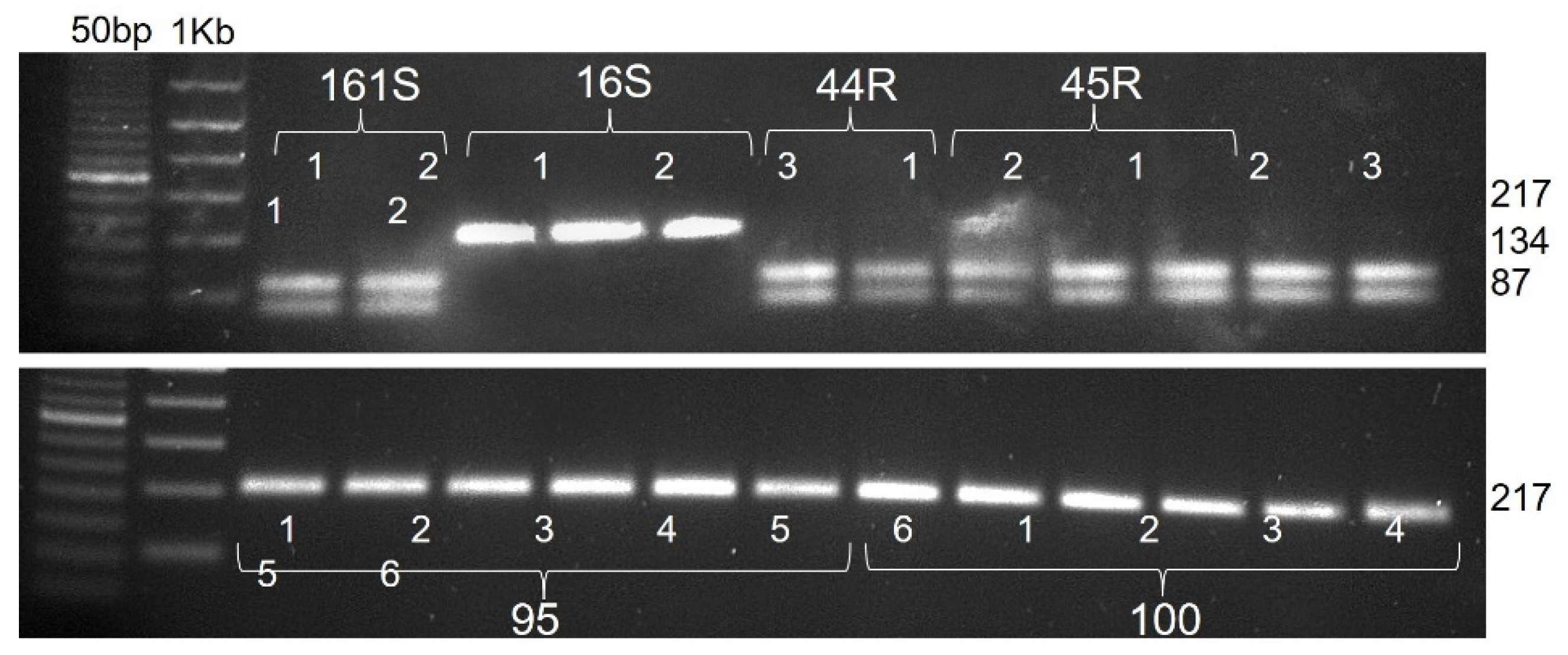 Genes 12 01841 g002