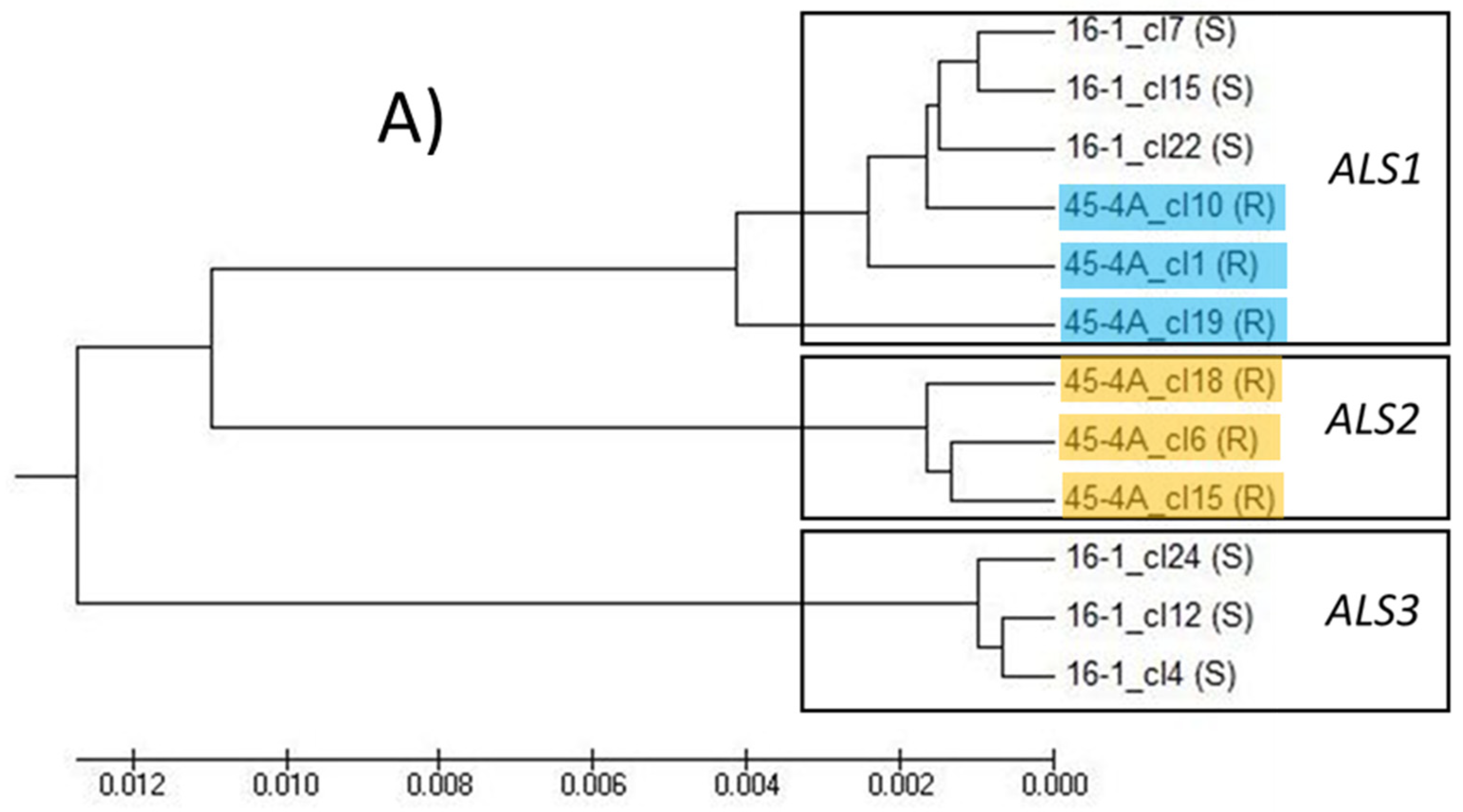 Genes 12 01841 g004a