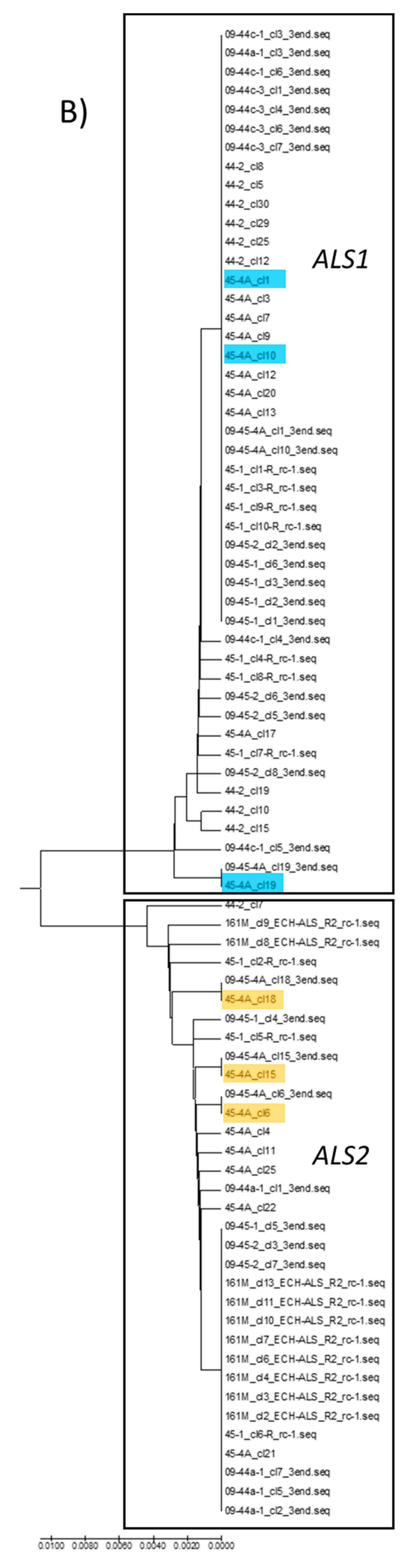 Genes 12 01841 g004b
