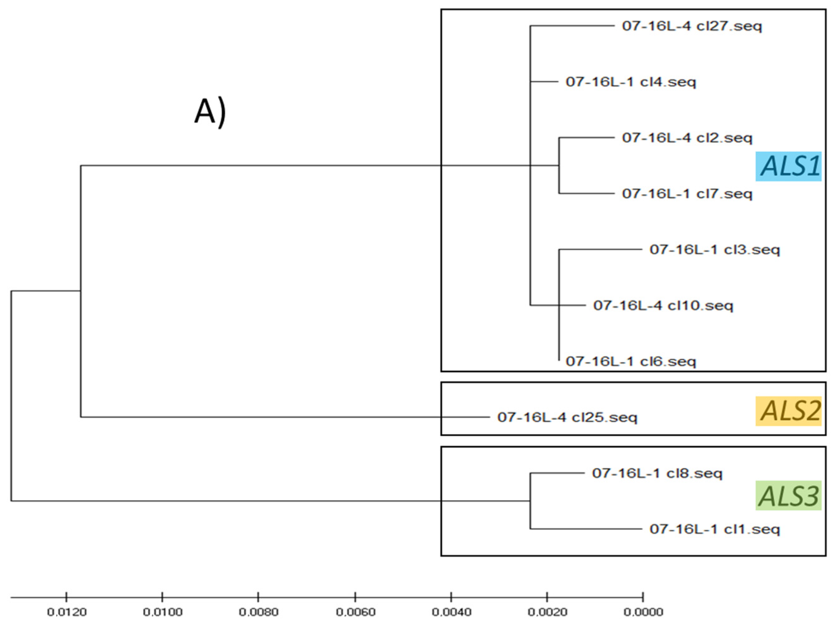 Genes 12 01841 g005a