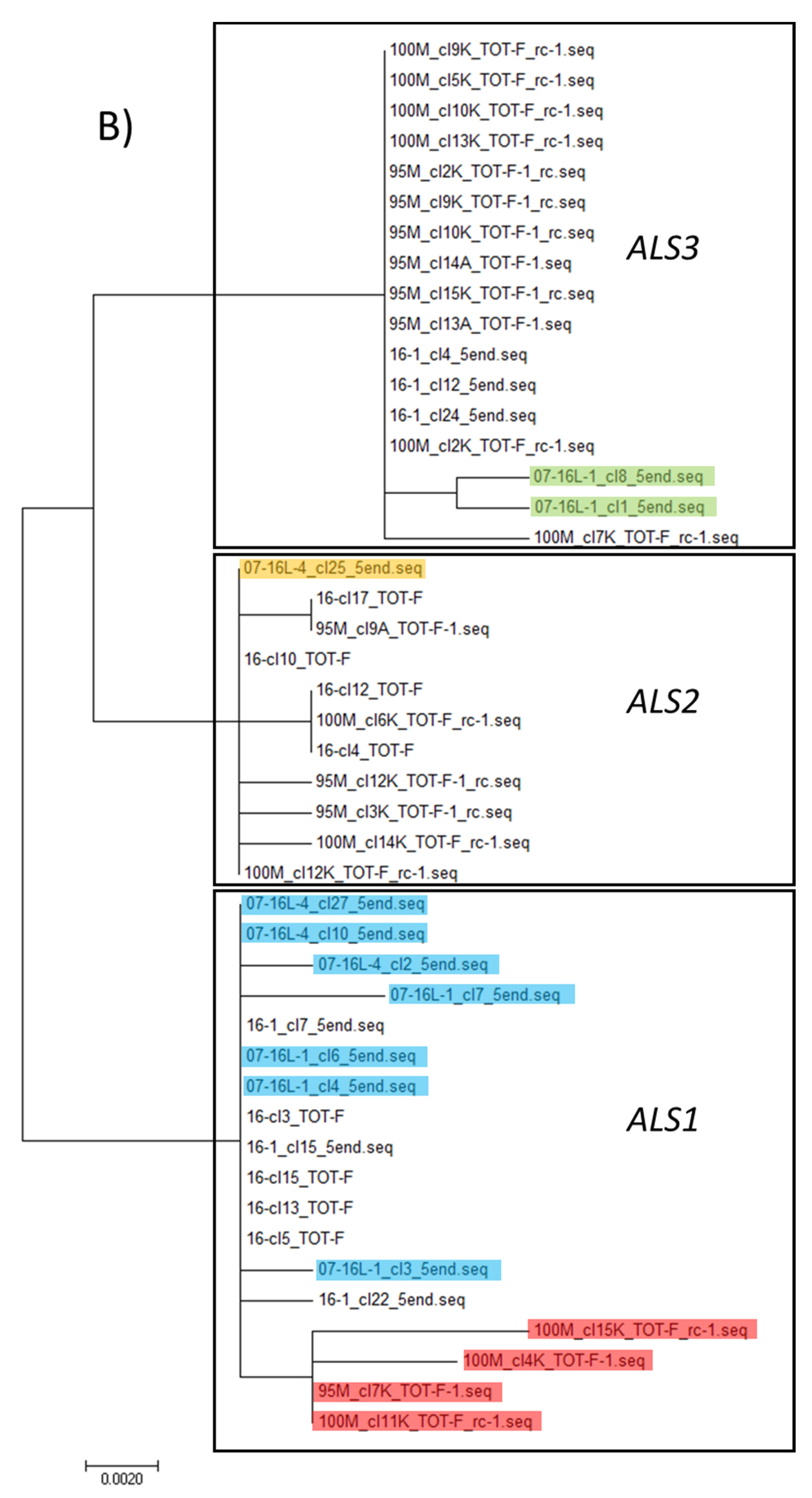 Genes 12 01841 g005b