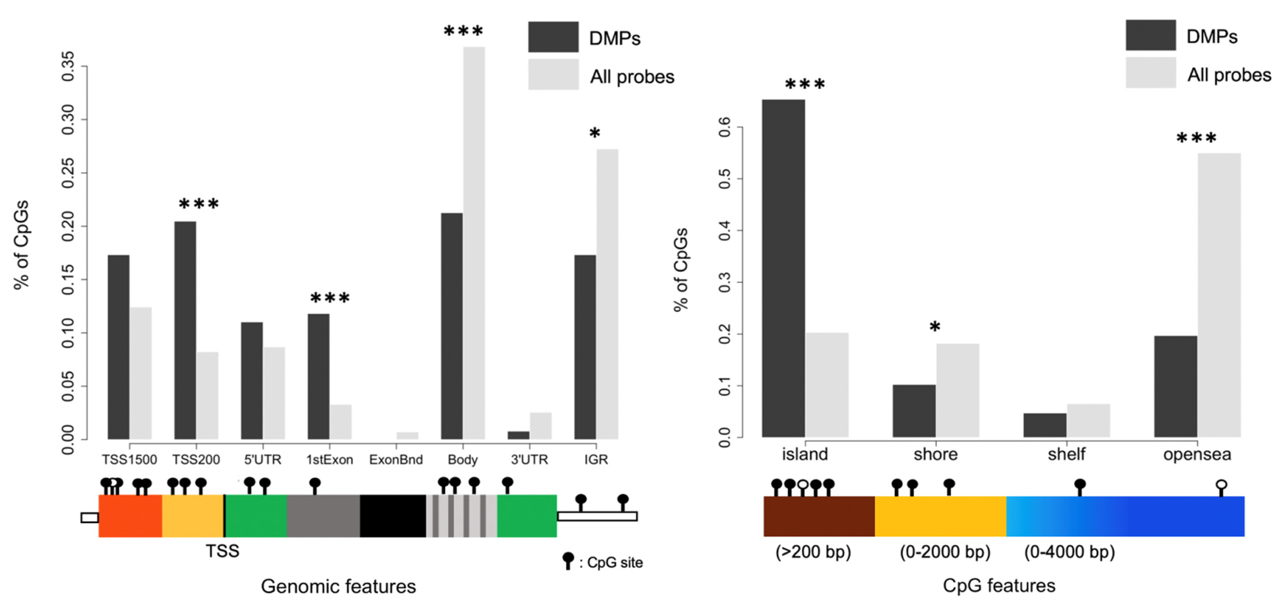 Genes 12 01912 g004