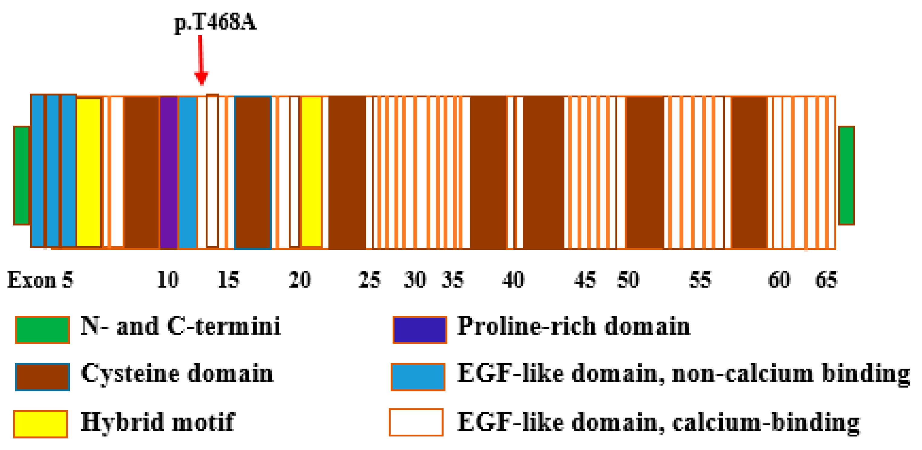 Genes 12 01915 g003